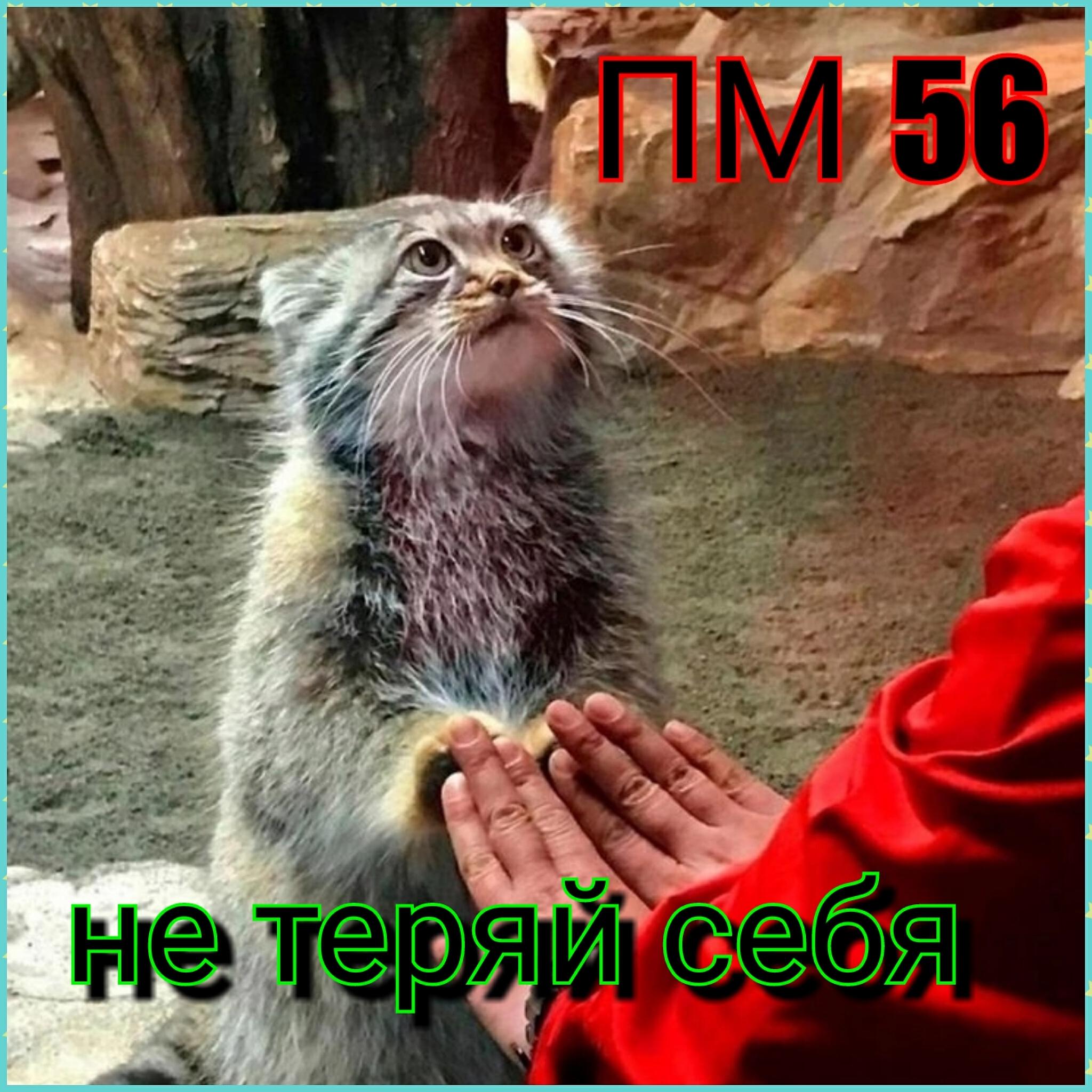 Релиз Не теряй себя