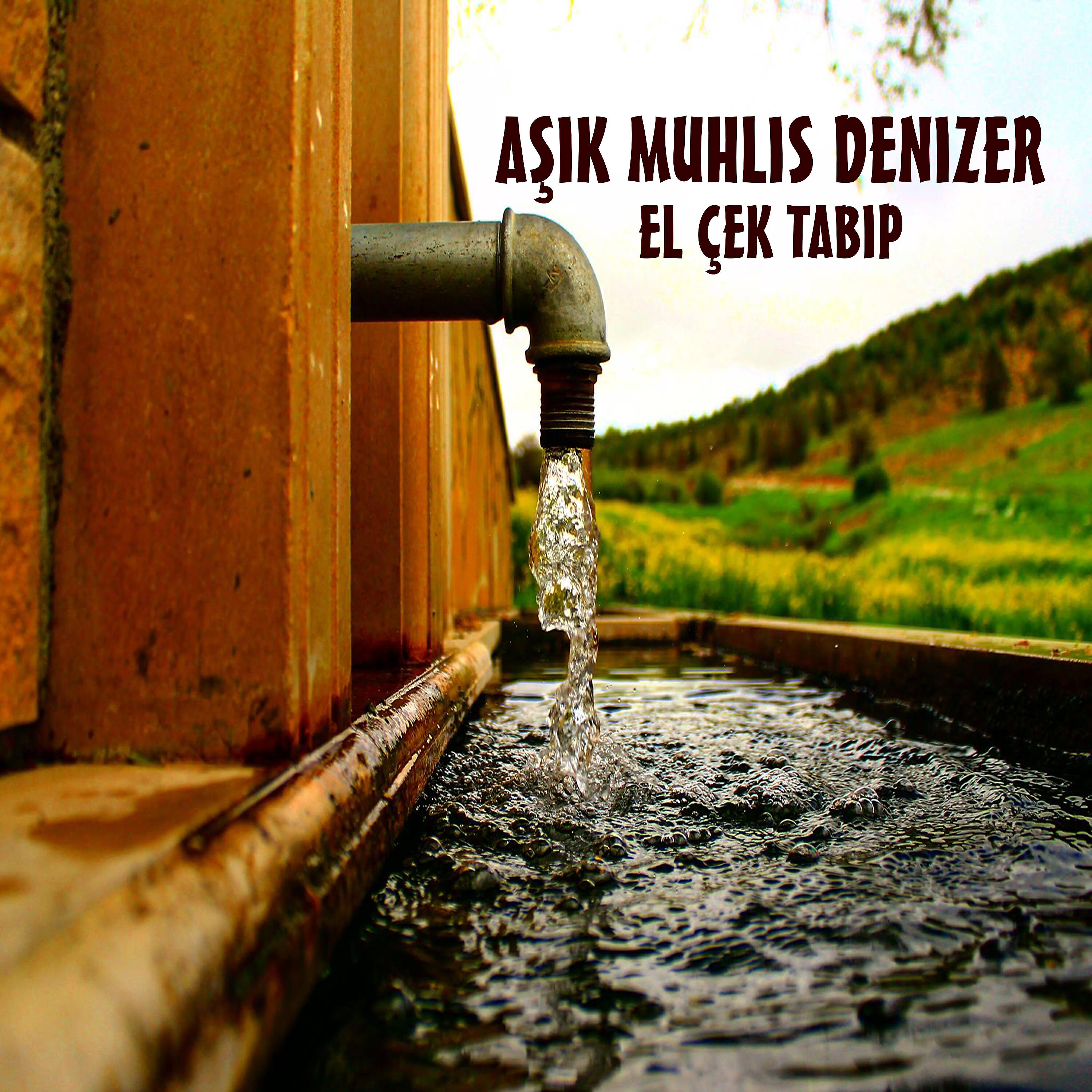 Aşık Muhlis Denizer