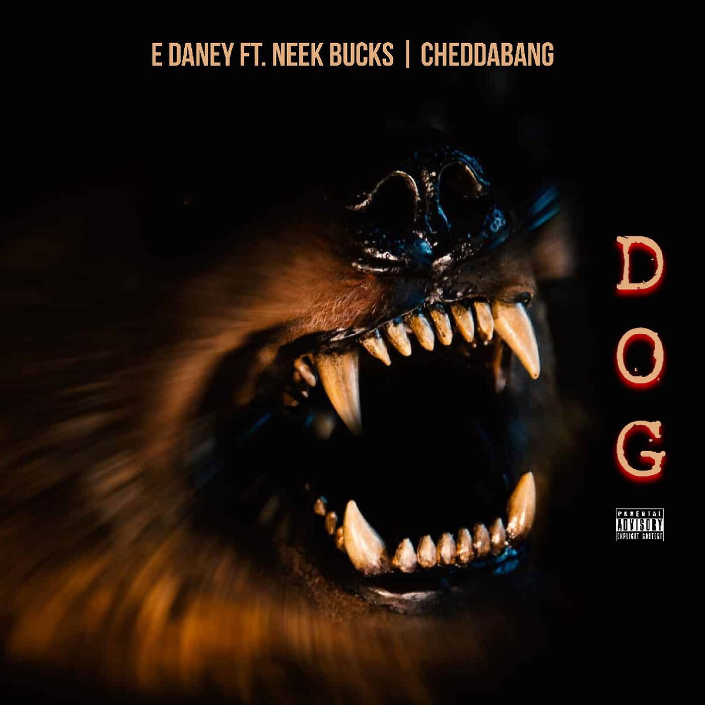 Релиз Dog