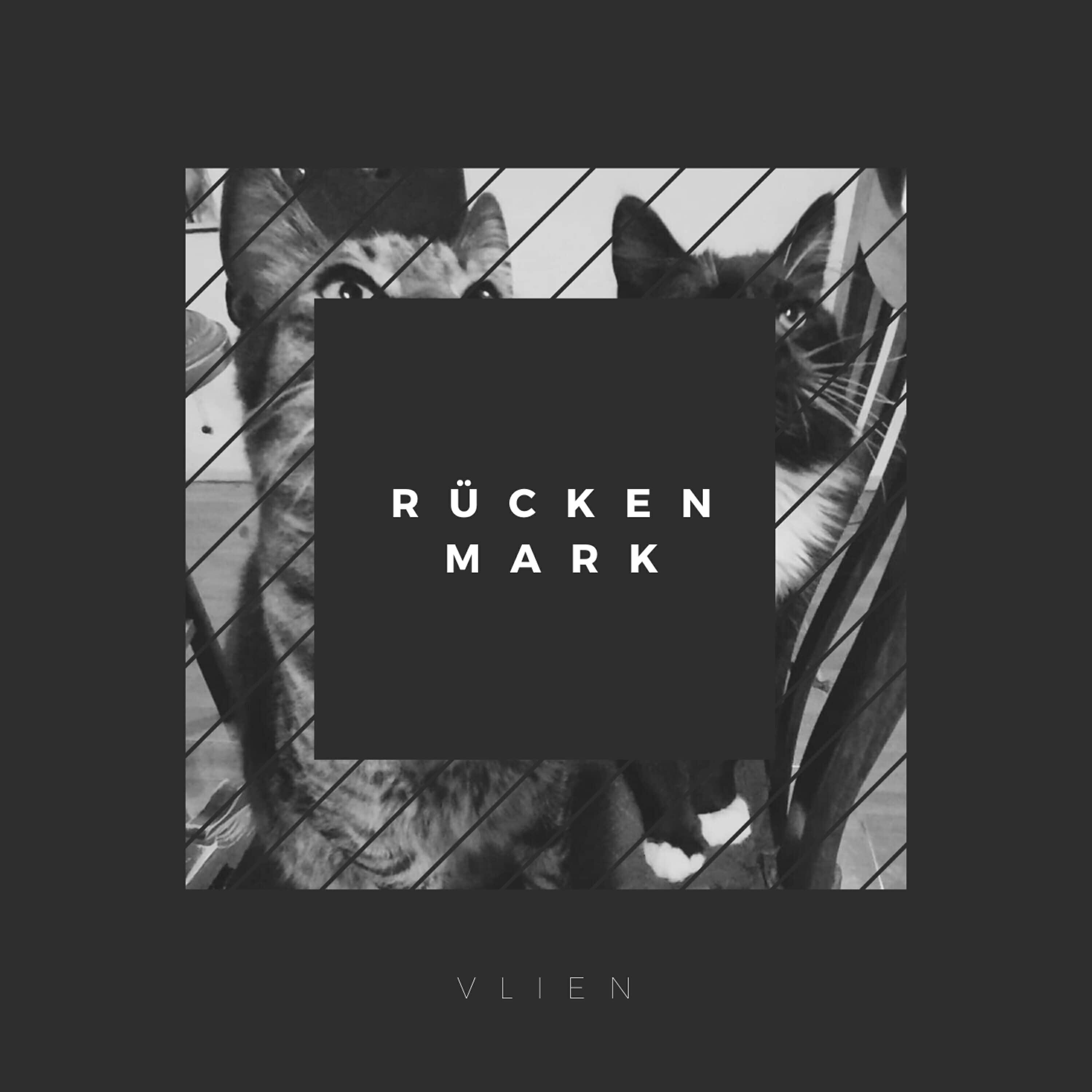 Vlien