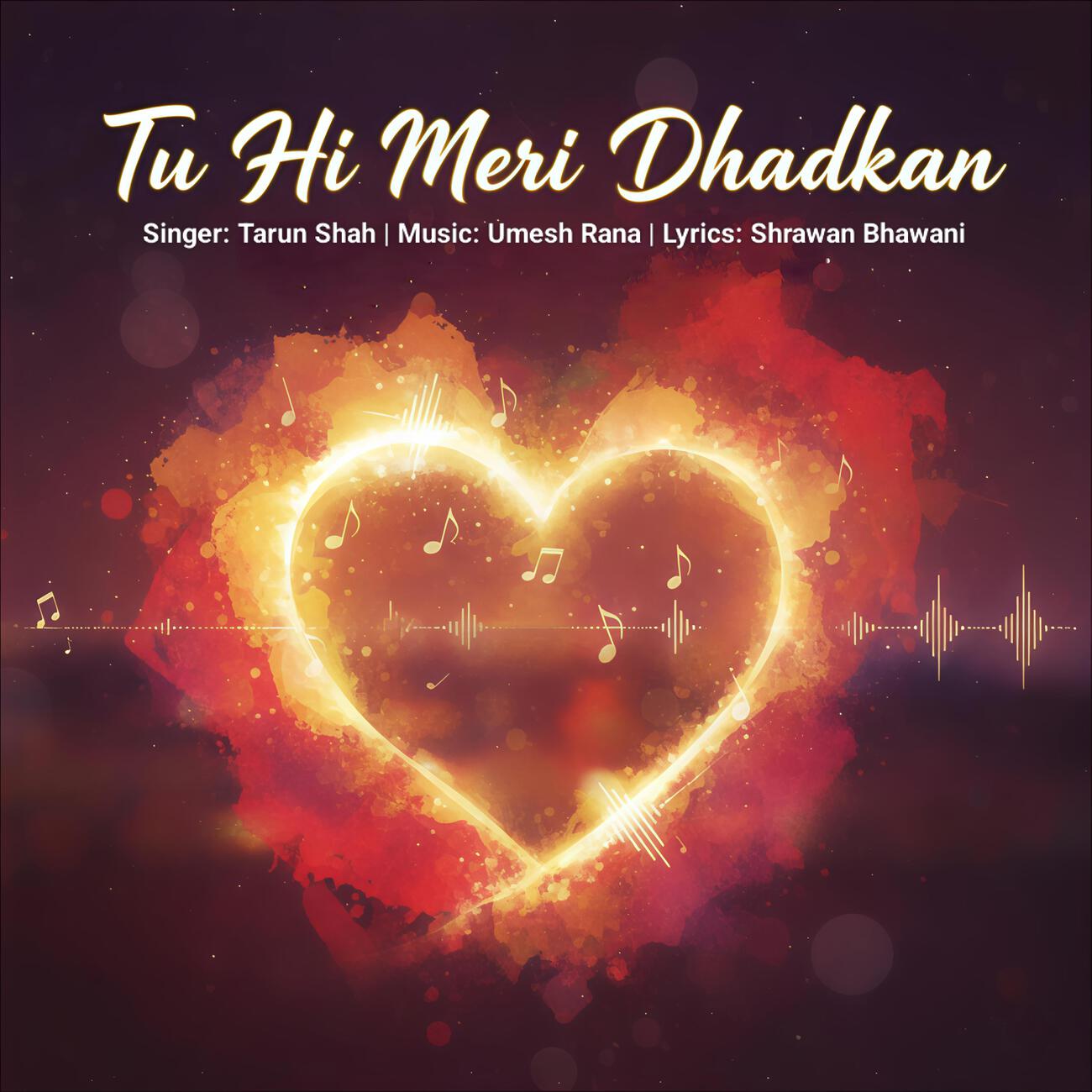 Релиз Tu Hi Meri Dhadkan