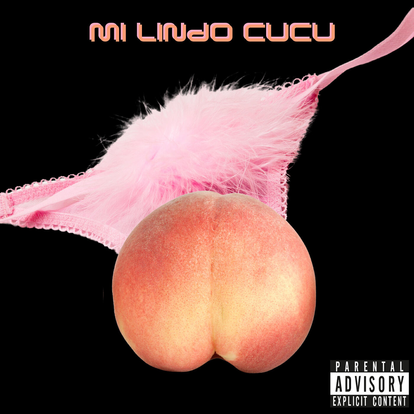Релиз Mi Lindo Cucu