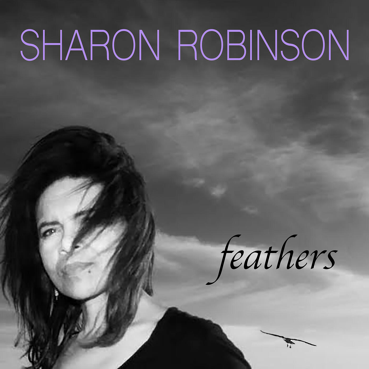 Релиз Feathers