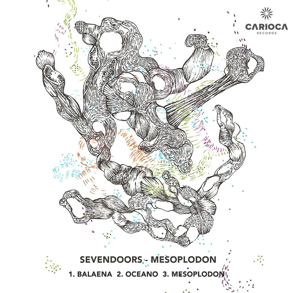 Релиз Mesoplodon
