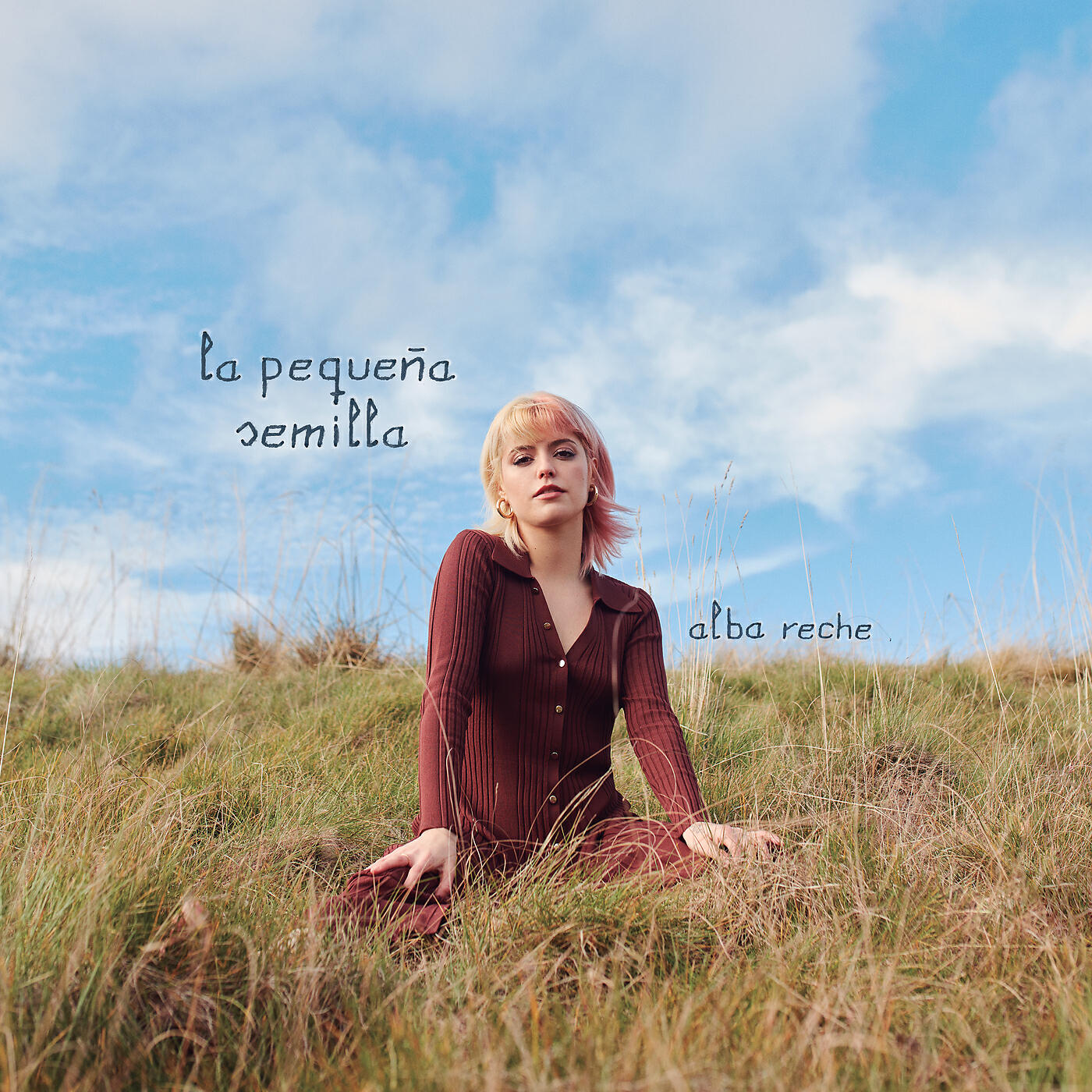 Релиз la pequeña semilla