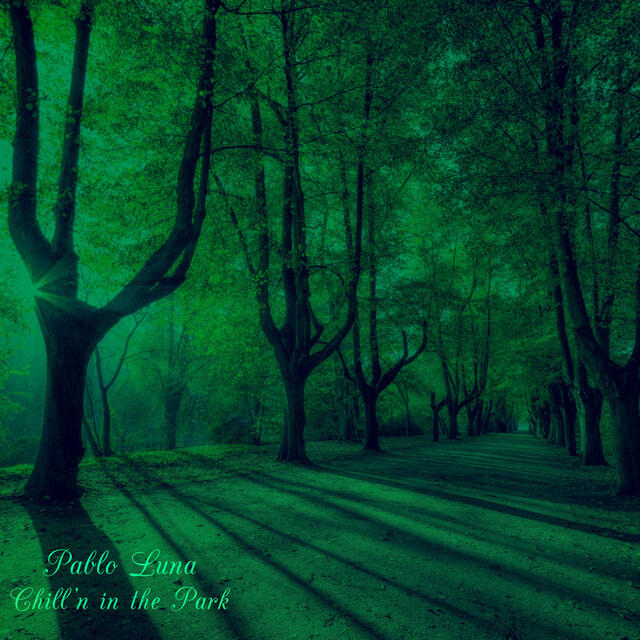 Релиз Chill'n in the Park