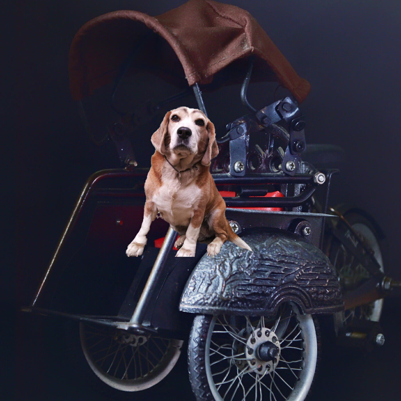 Релиз Anjing Banget (Urwelmusic Remix)