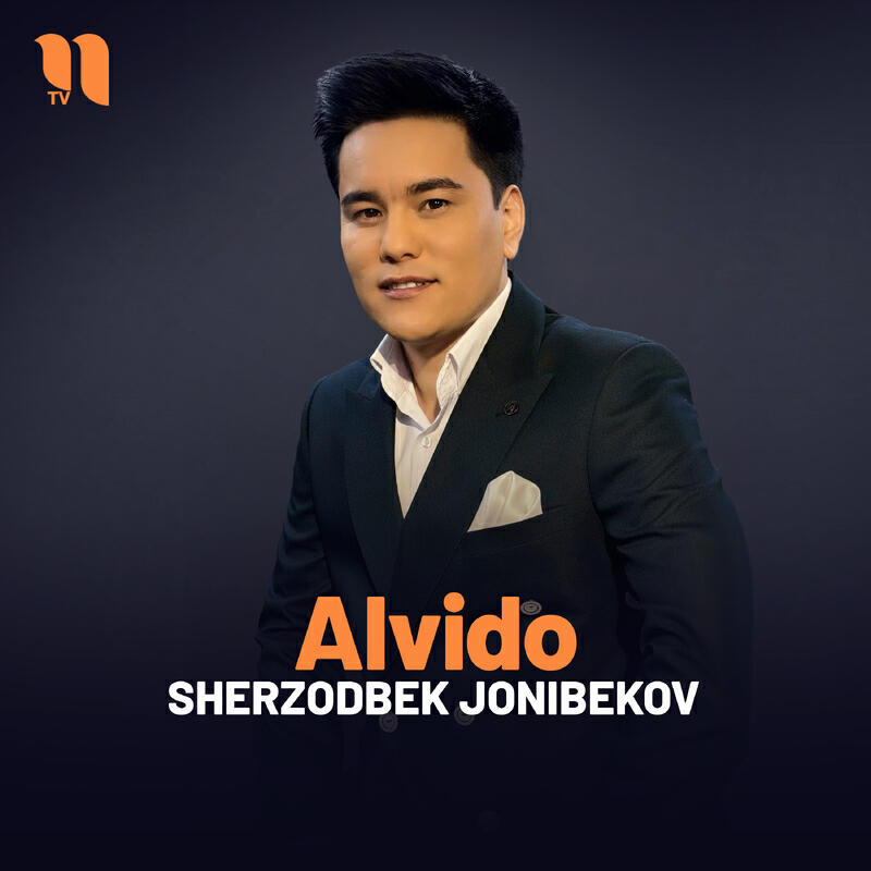 Постер альбома Alvido