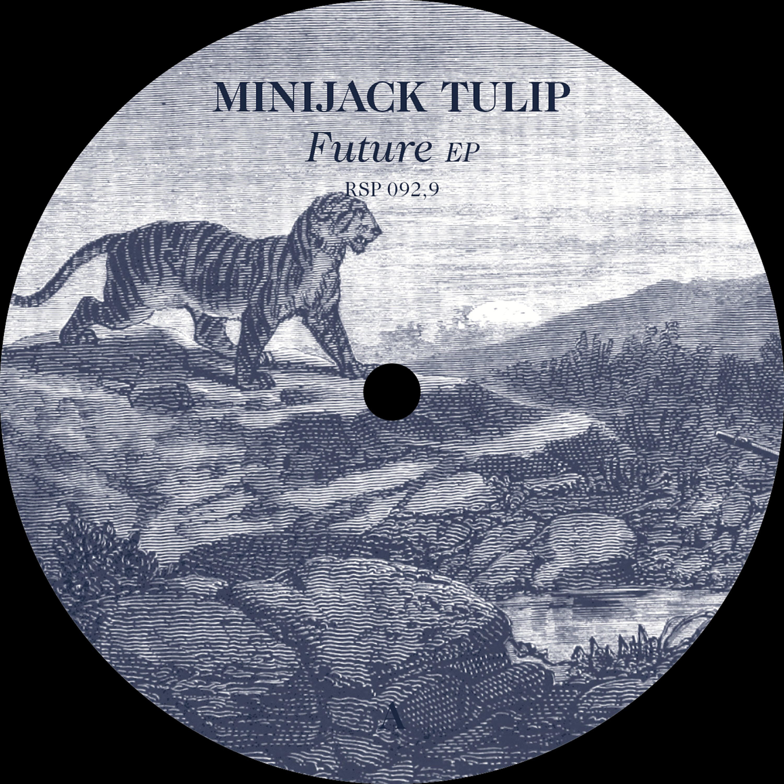 Minijack Tulip