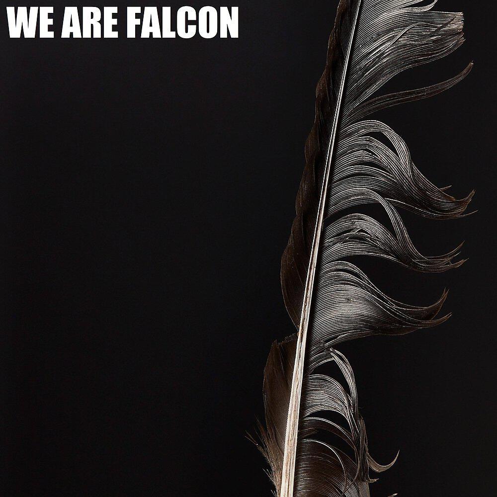Релиз We Are Falcon