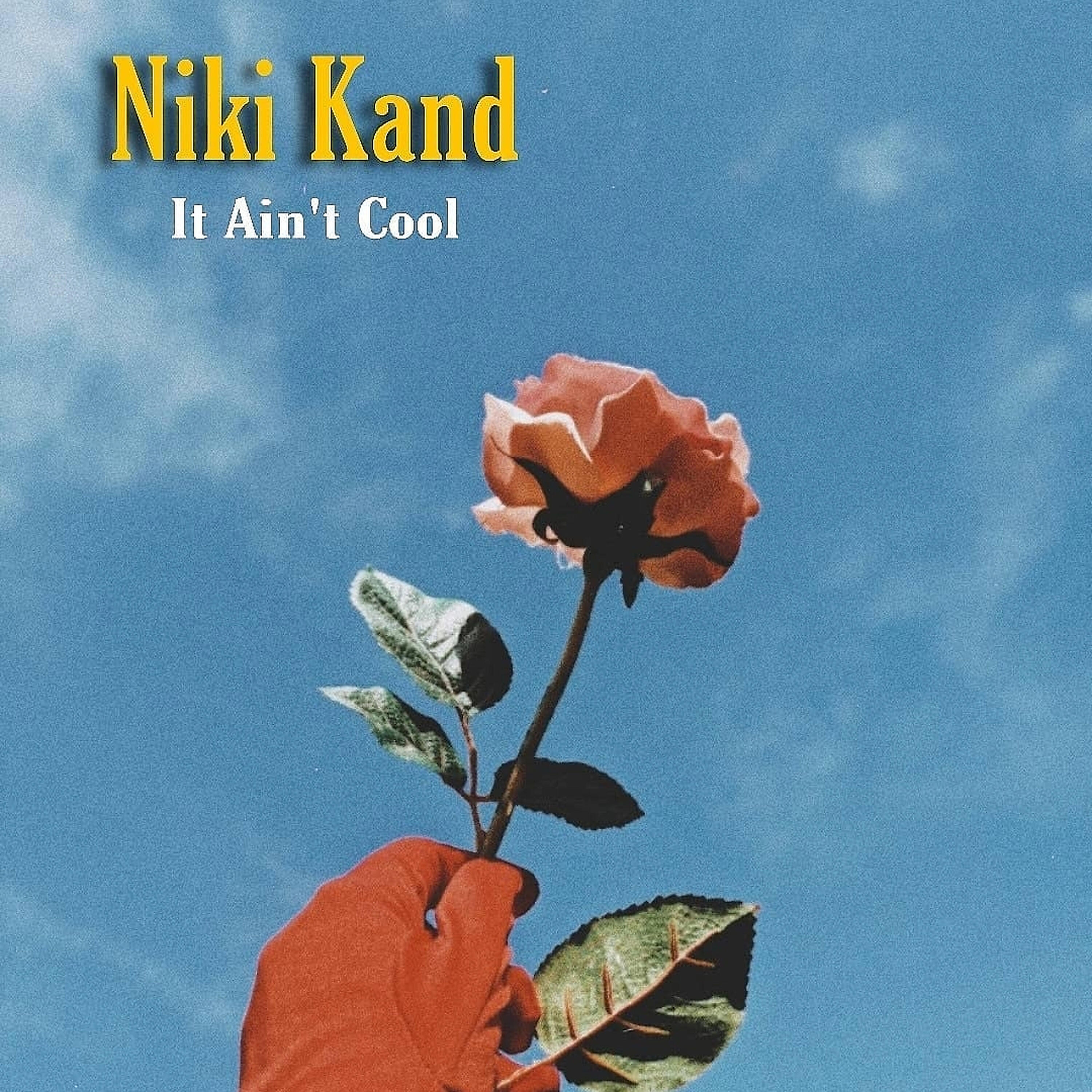 Релиз It Ain't Cool