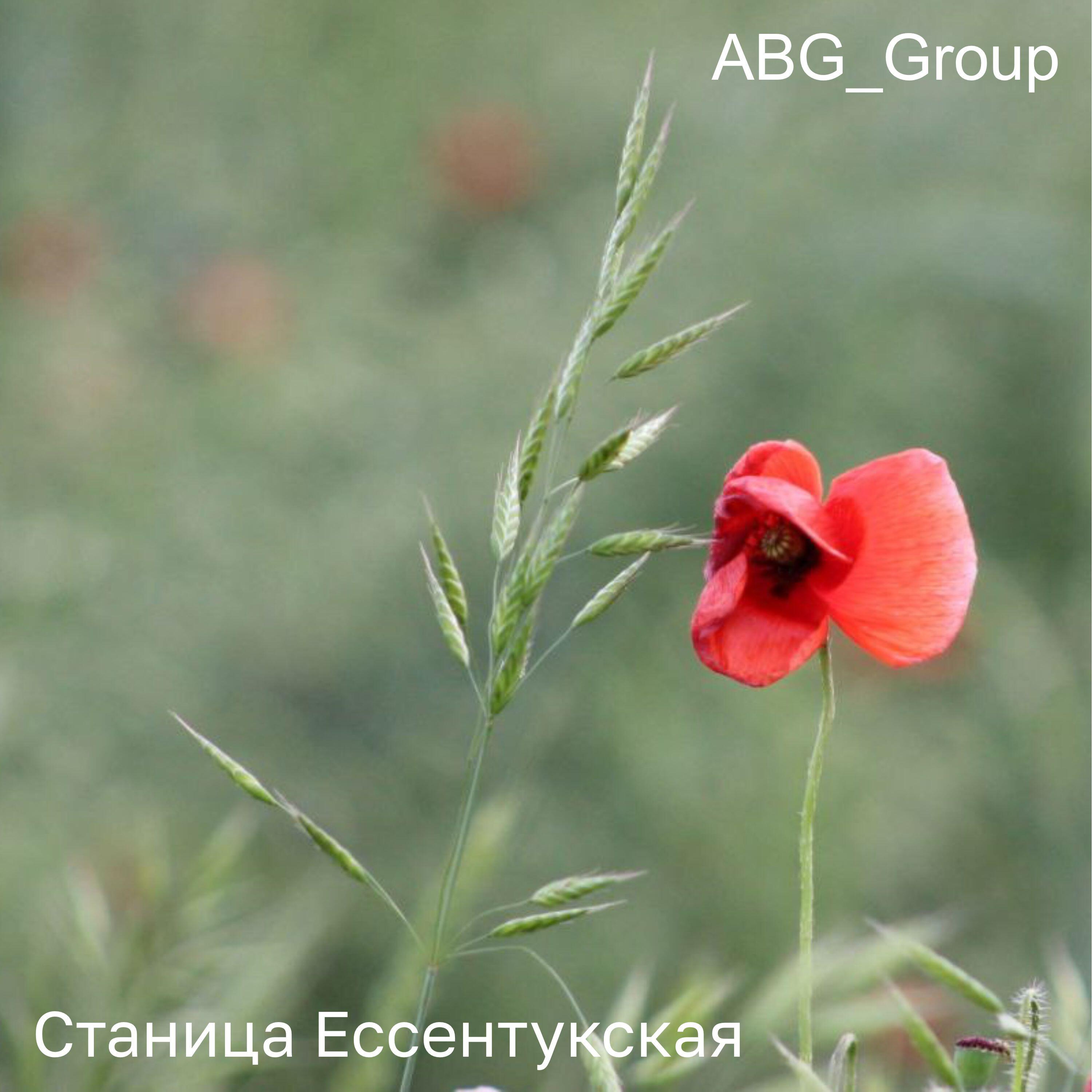 Релиз Станица Ессентукская