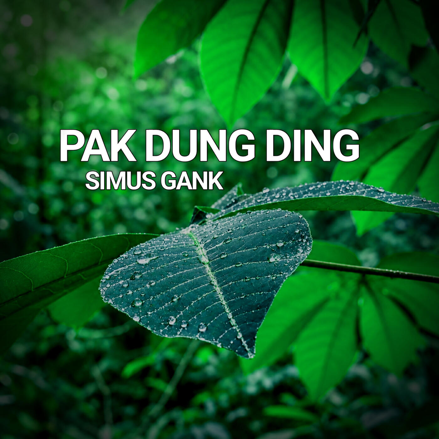 Simus Gank