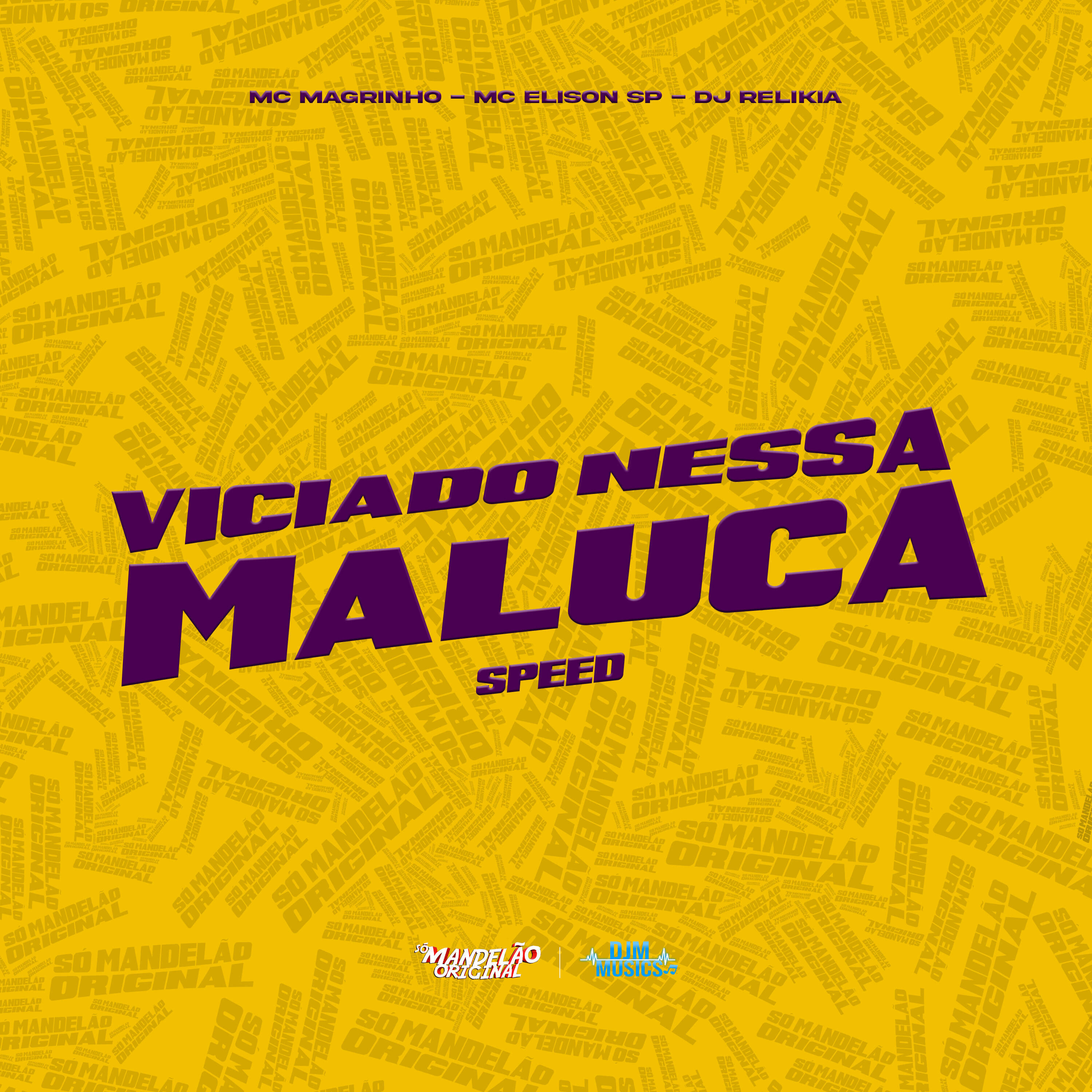 Постер альбома Viciado Nessa Maluca