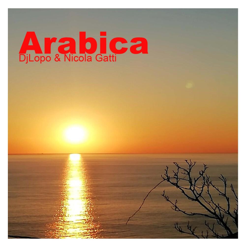 Релиз Arabica