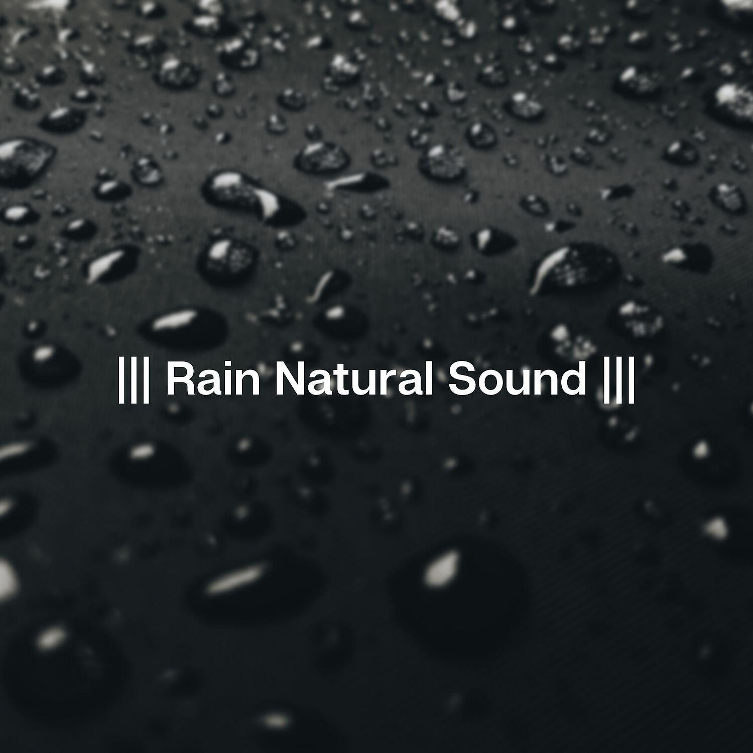 Релиз Rain Natural Sound