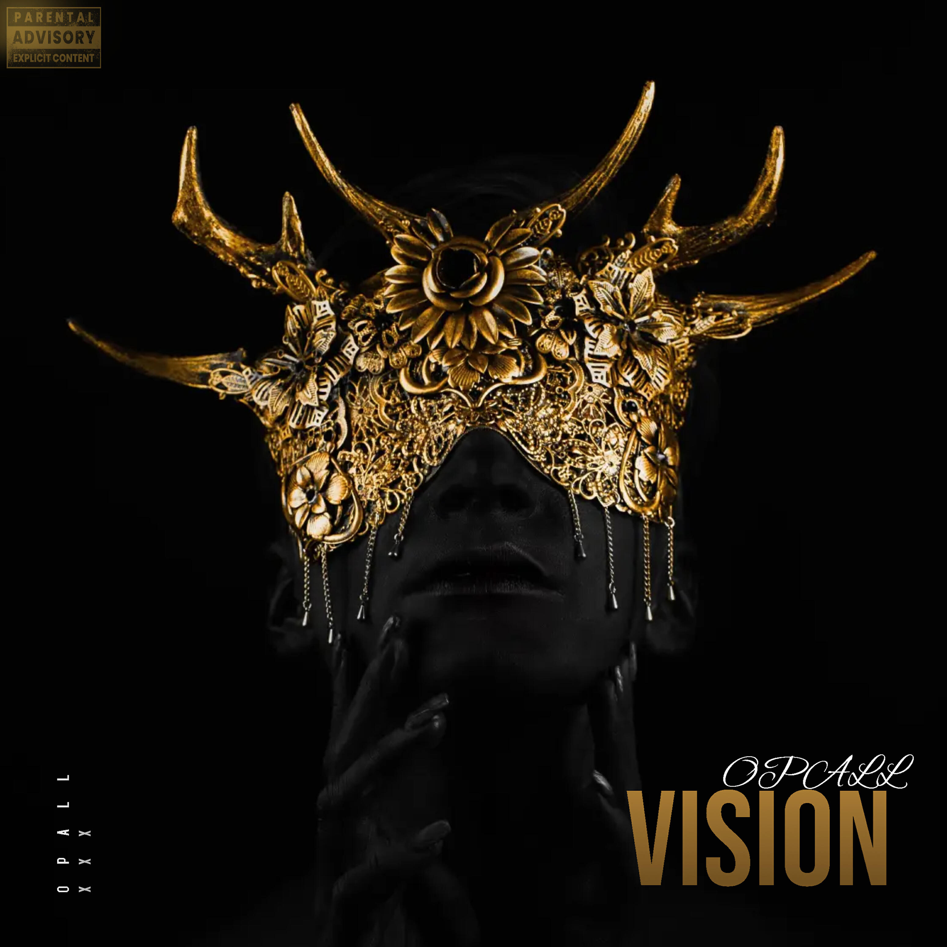 Релиз Vision
