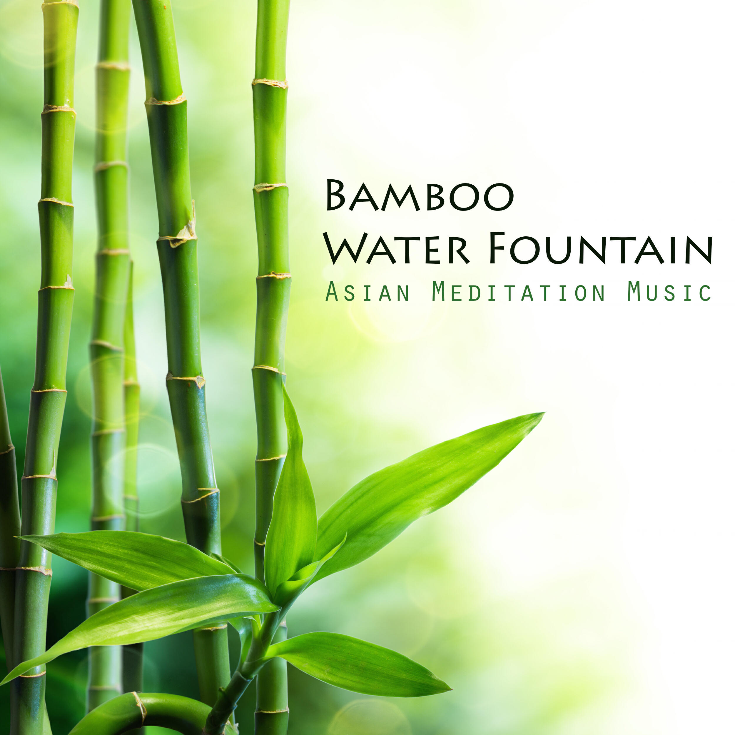 Релиз Bamboo Water Fountain - Asian Meditation Music Collective and Japanese Bamboo Fountain Sounds, Zen Garden Music