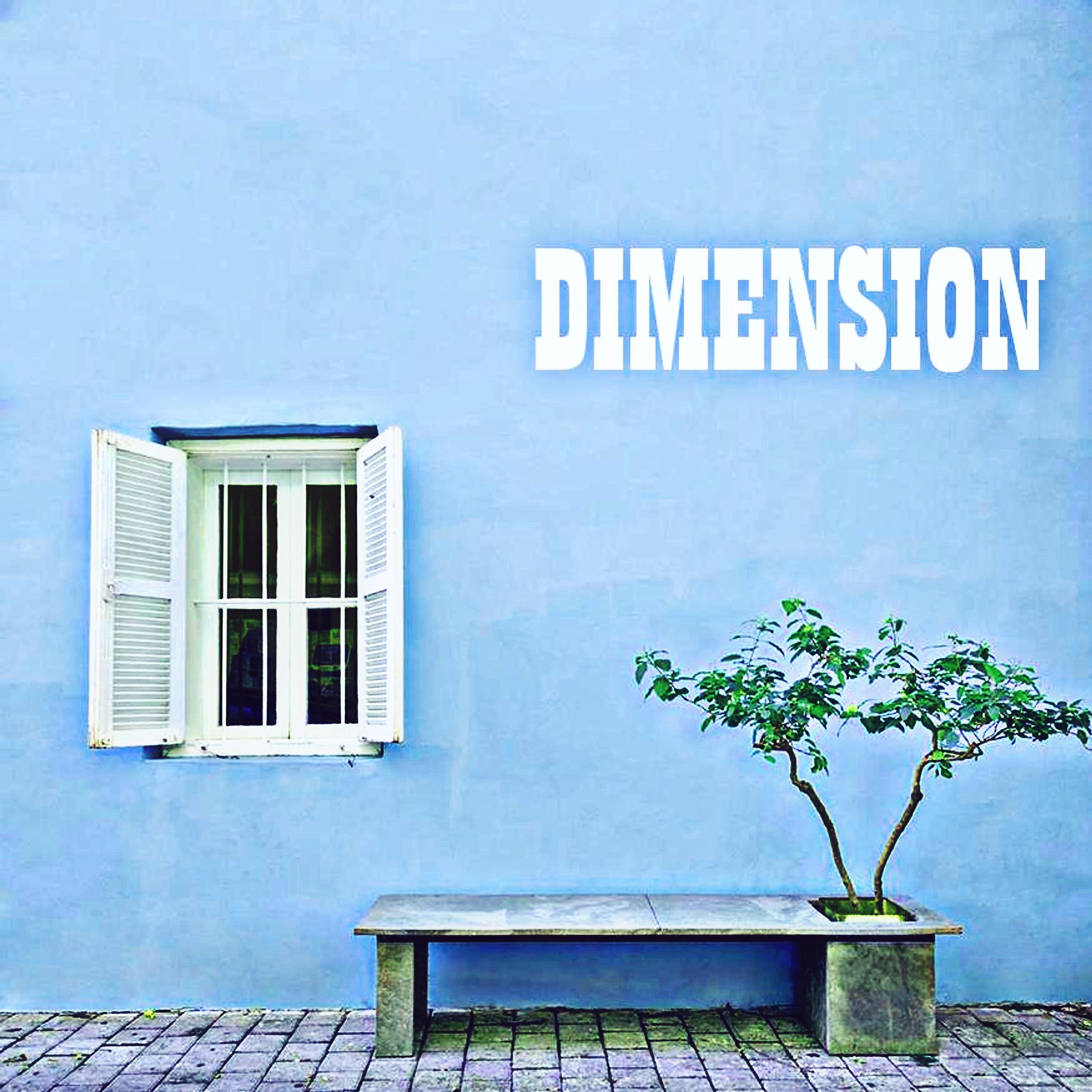 Релиз Dimension