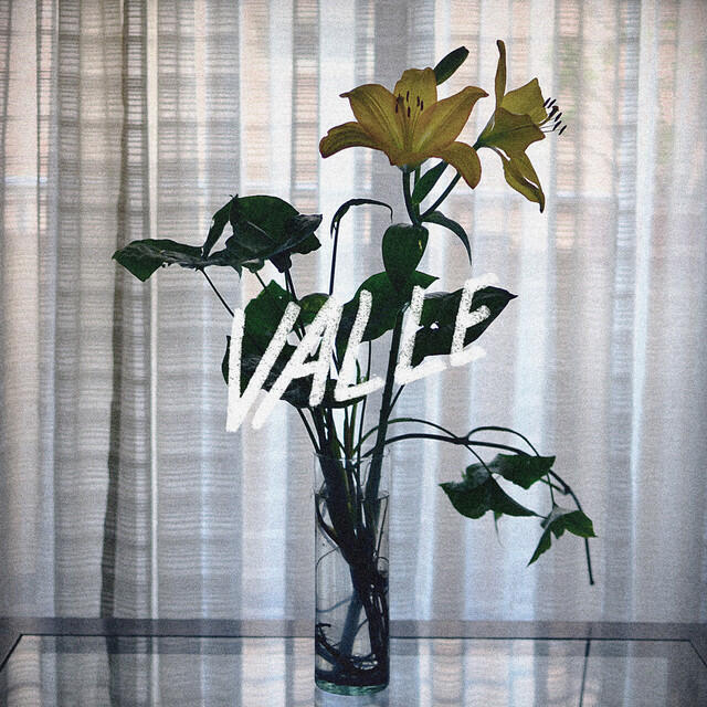 Релиз Valle