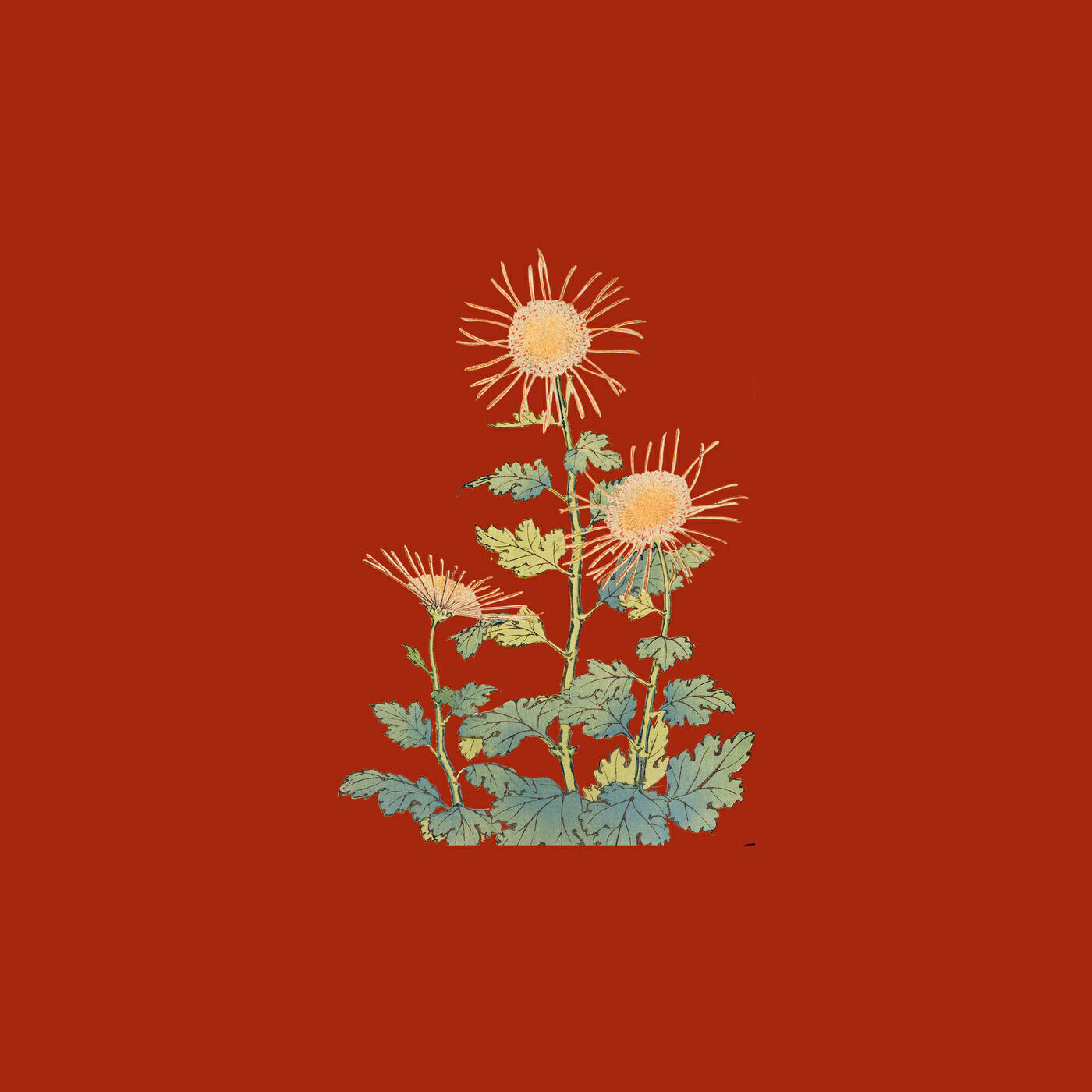 Релиз Just want to be loved