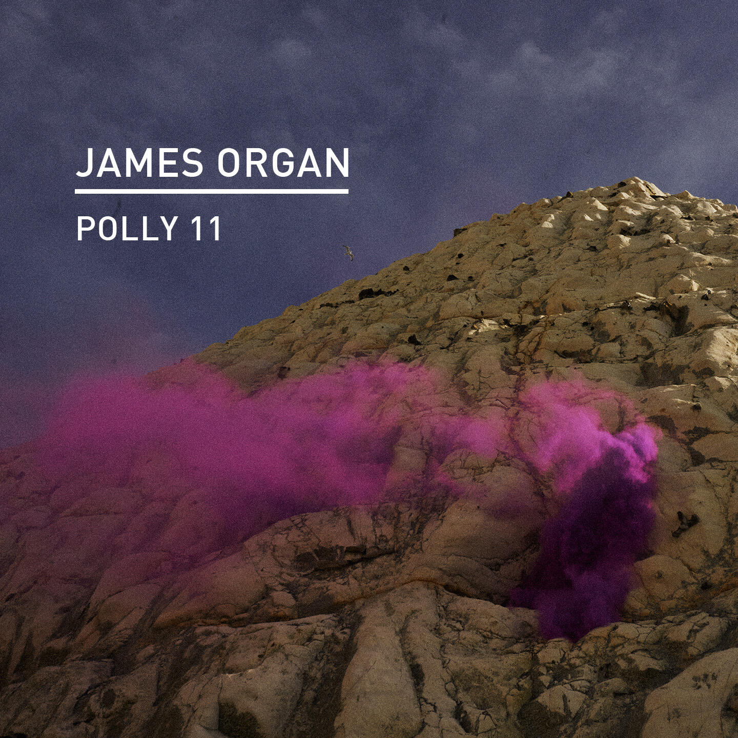 Релиз Polly 11