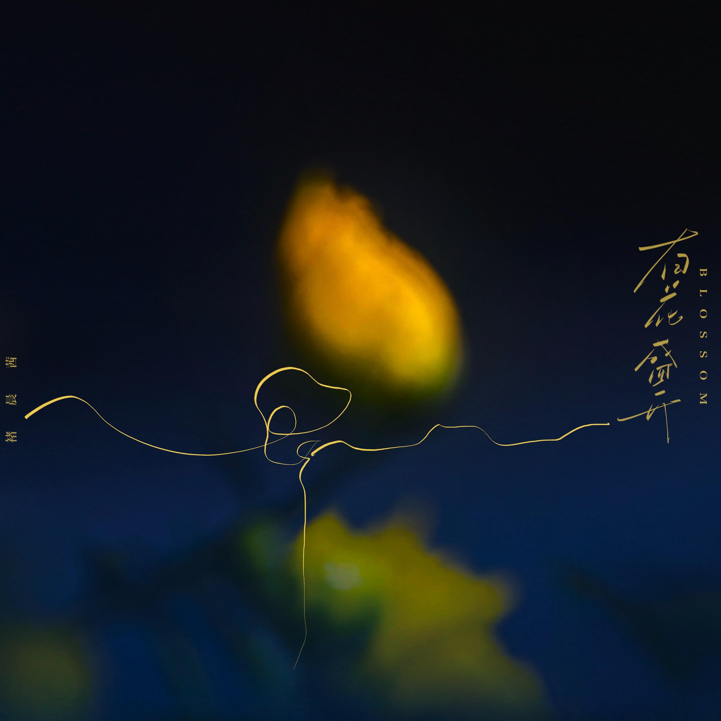 Релиз 有花盛开
