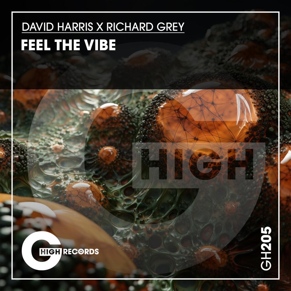 Релиз Feel the Vibe