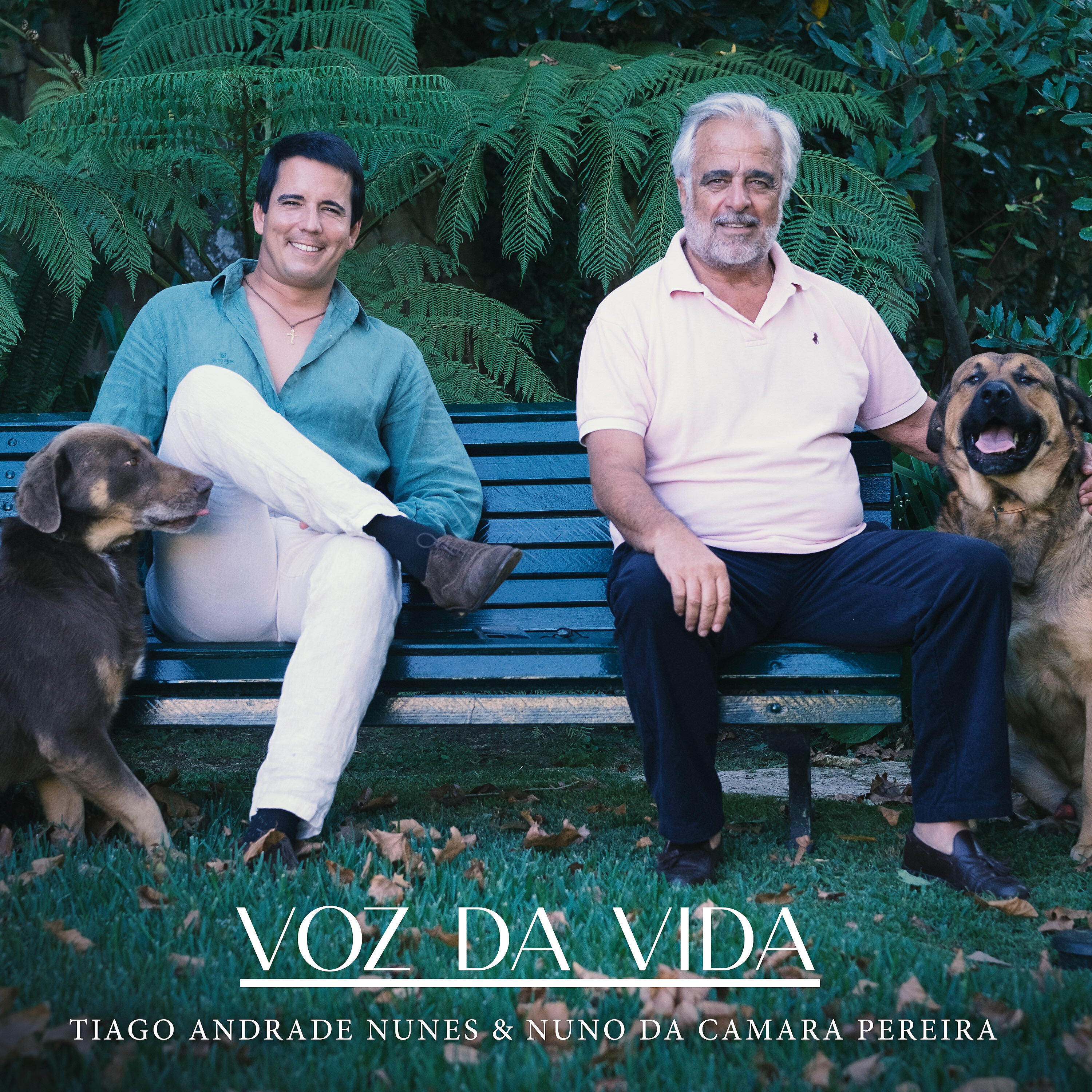 Релиз Voz da Vida