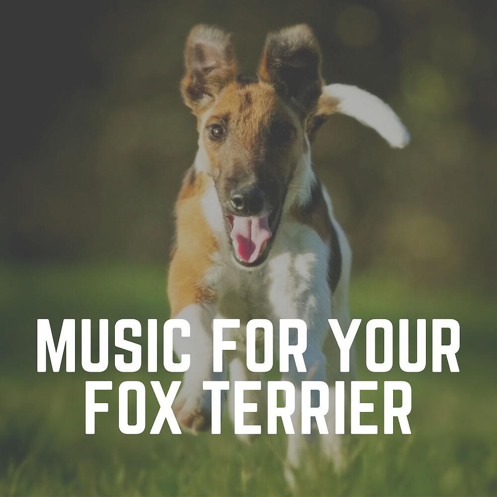 Релиз Music for Your Fox Terrier