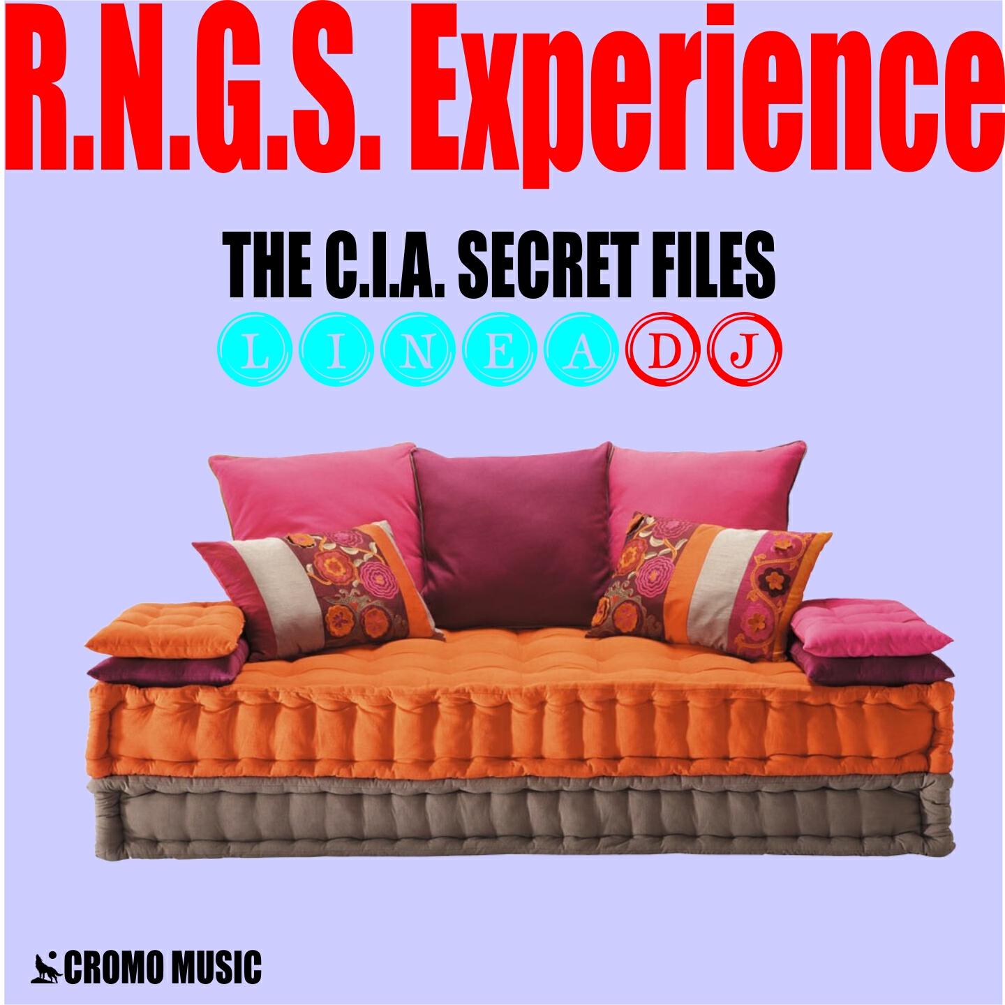 R.N.G.S. Experience