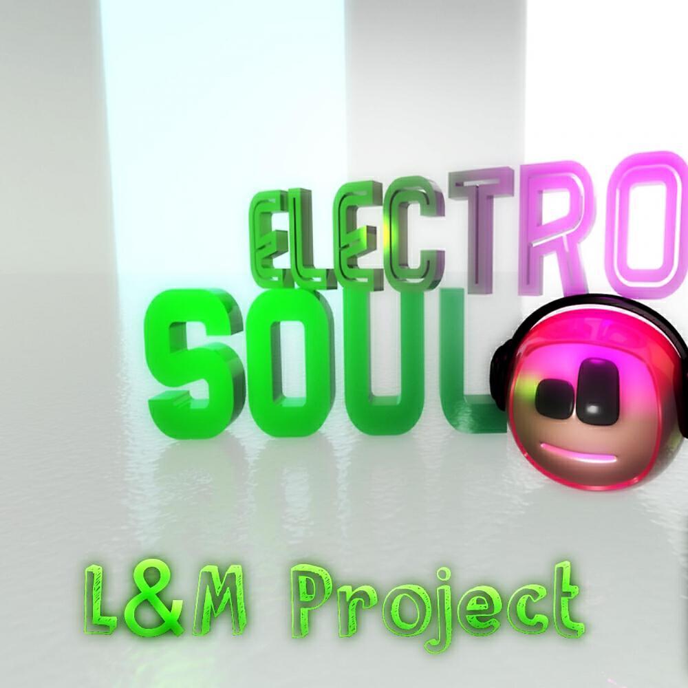 L and M Project