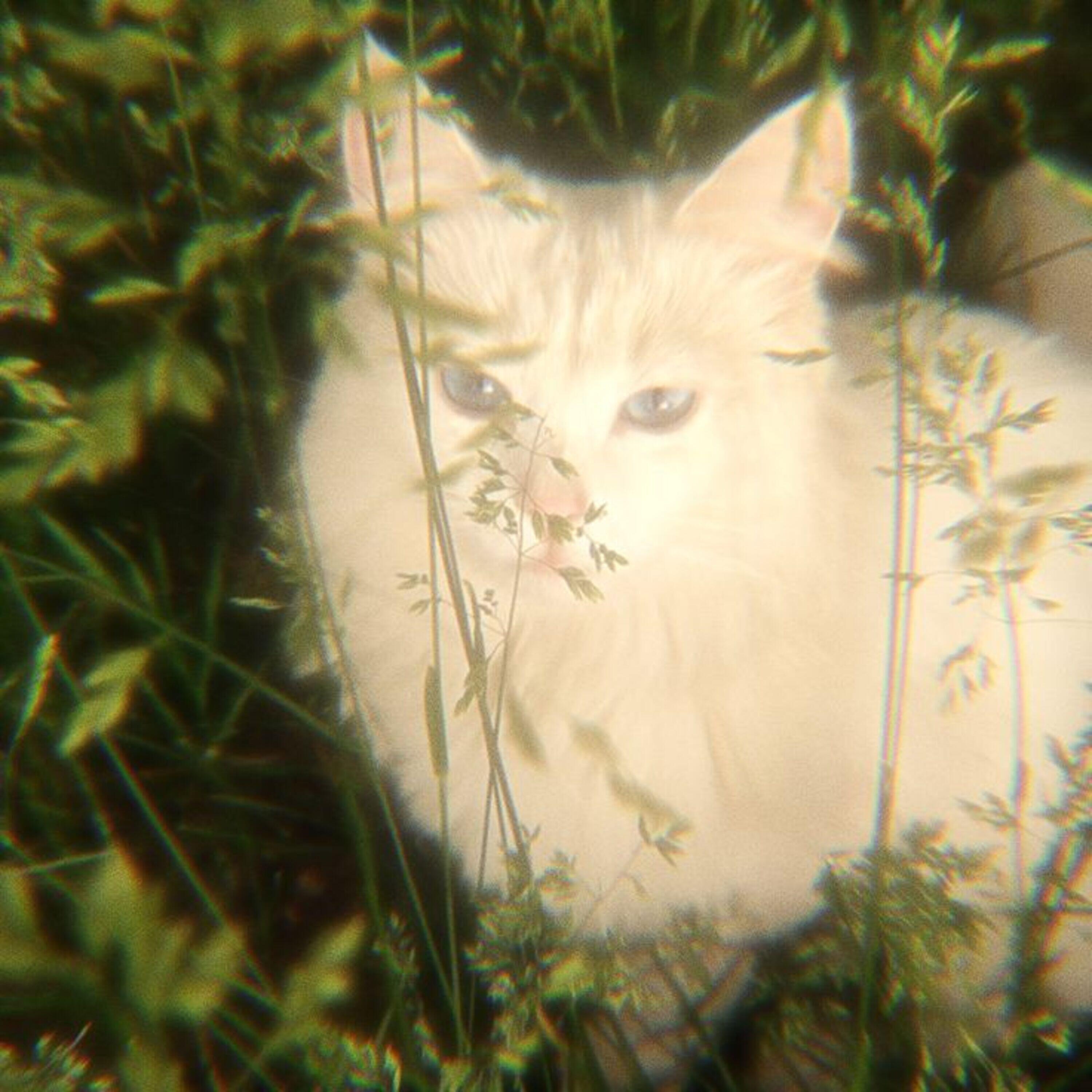 Релиз Self Aware (Slowed)