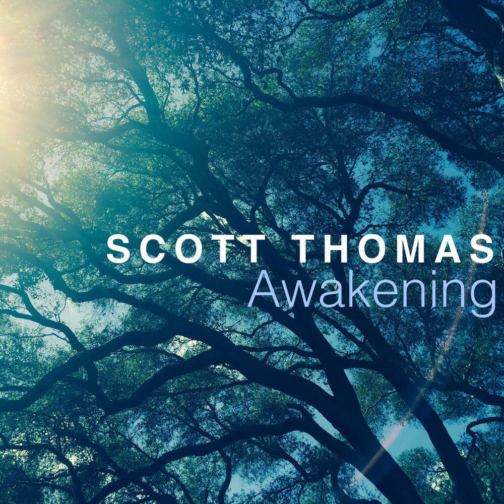 Релиз Awakening