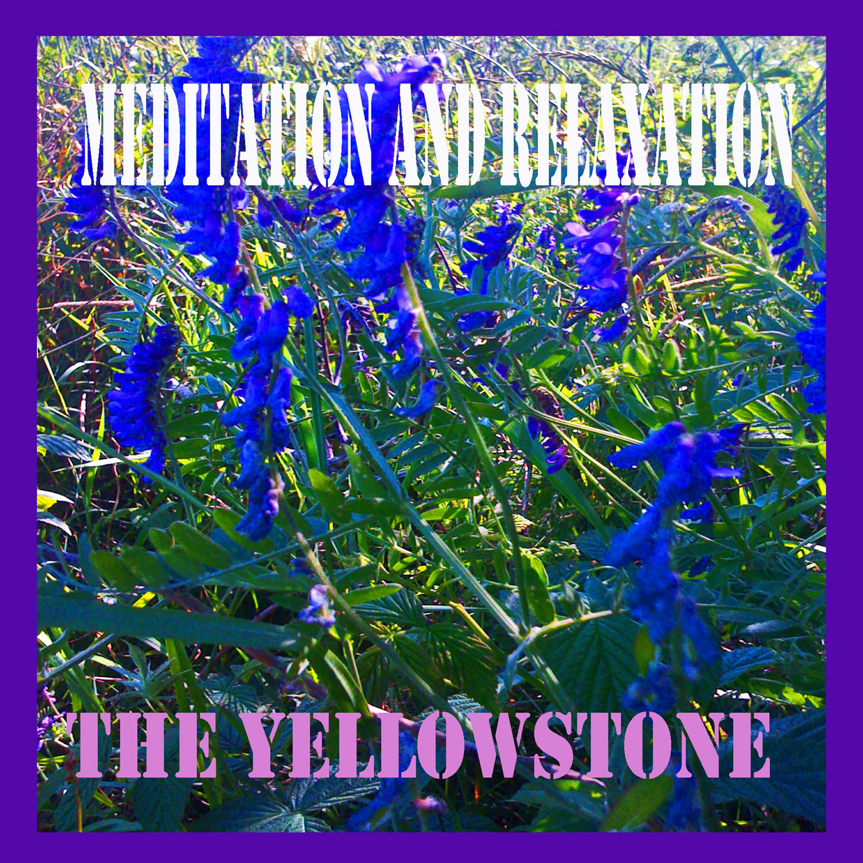 The Yellowstone