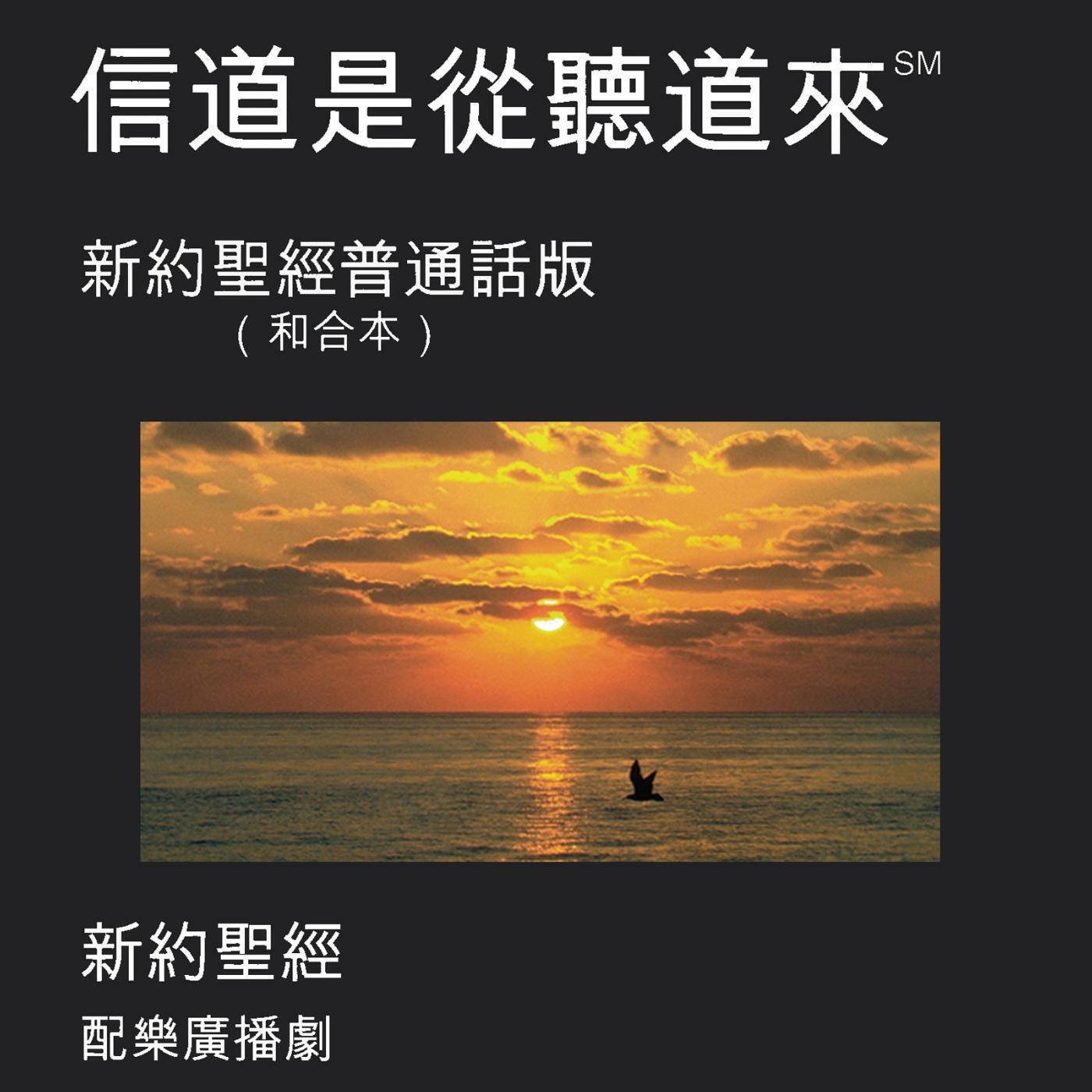 Релиз Chinese Mandarin Bible (Dramatized) - Chinese Union Version