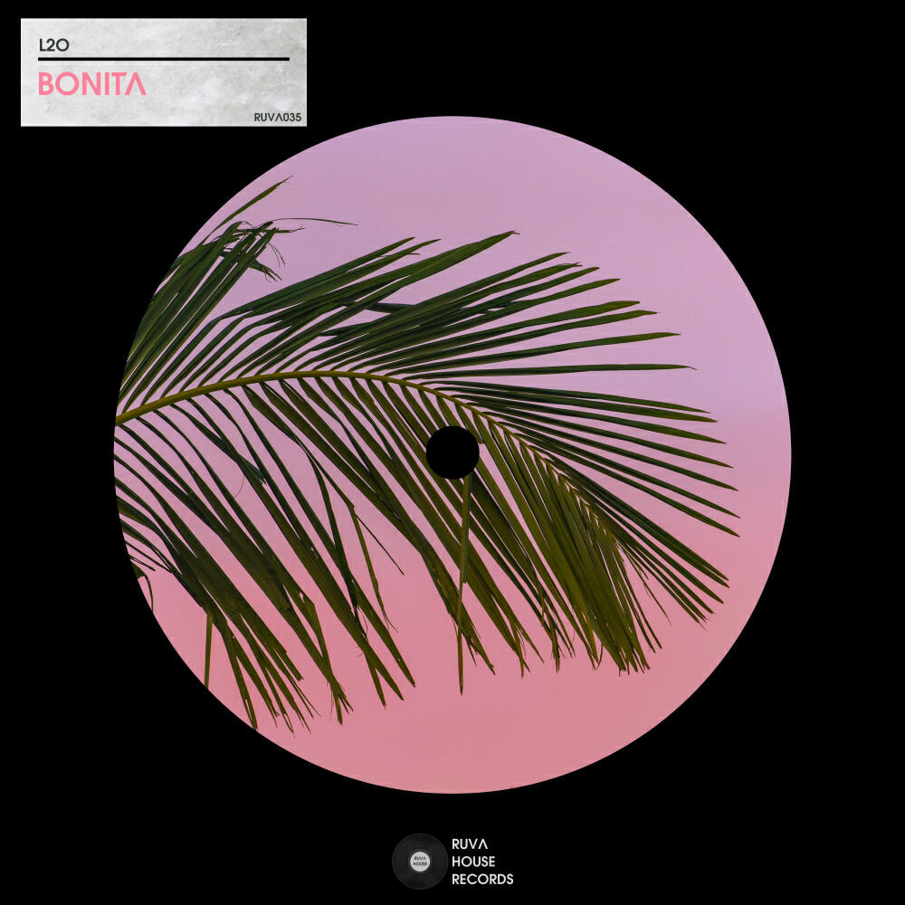 Релиз Bonita