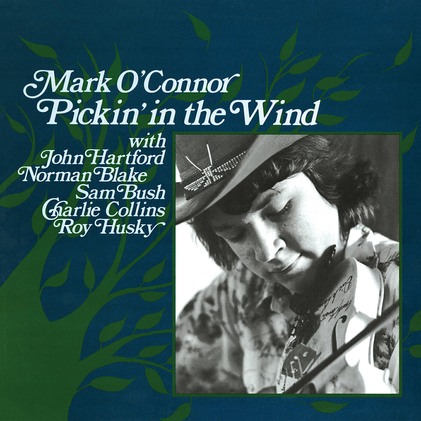 Постер альбома Pickin' In The Wind