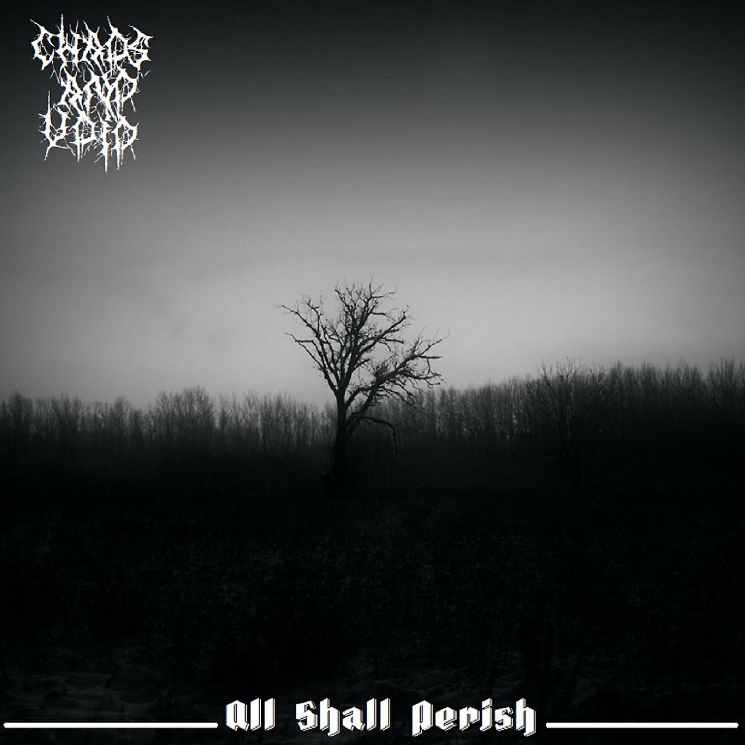 Chaos and Void