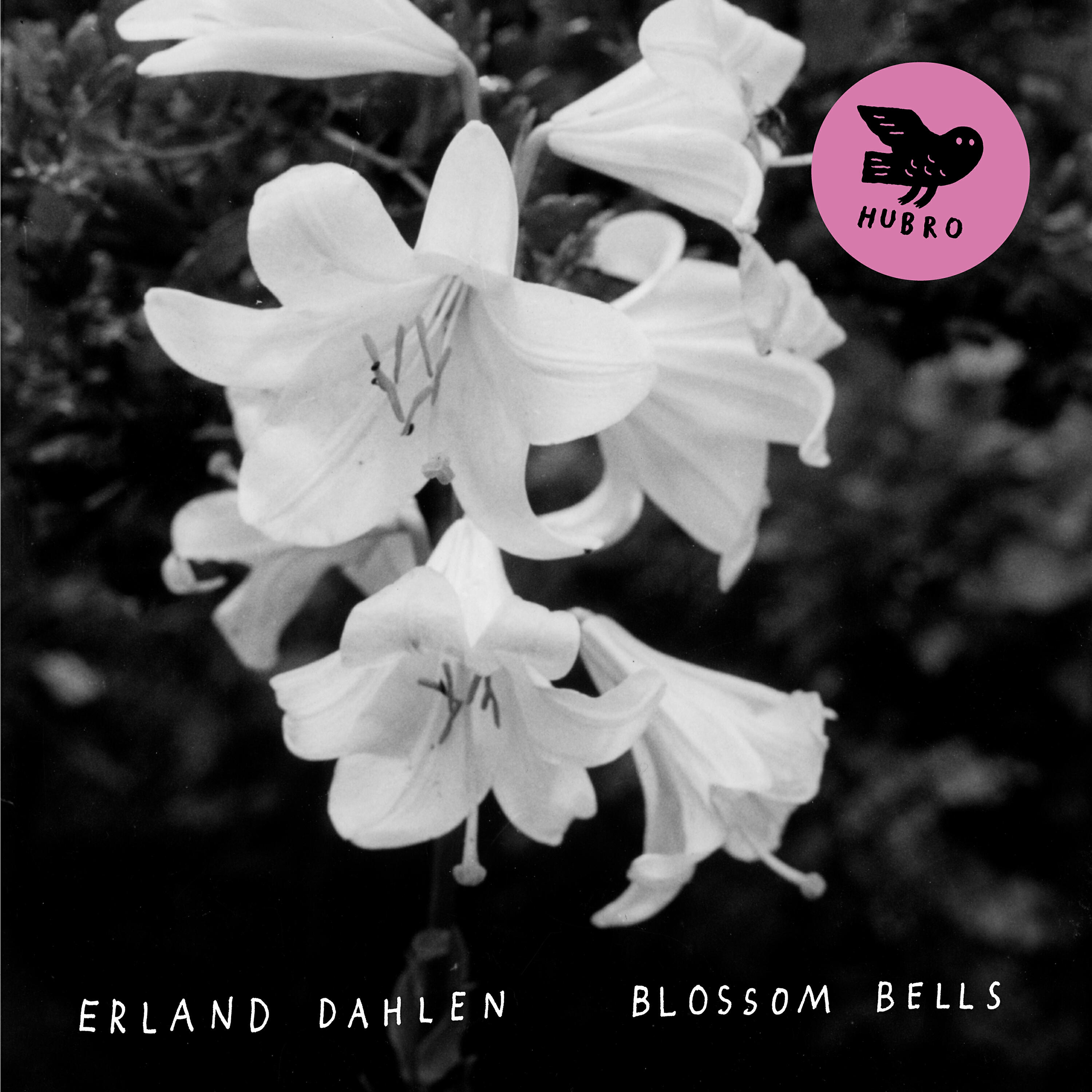 Релиз Blossom Bells