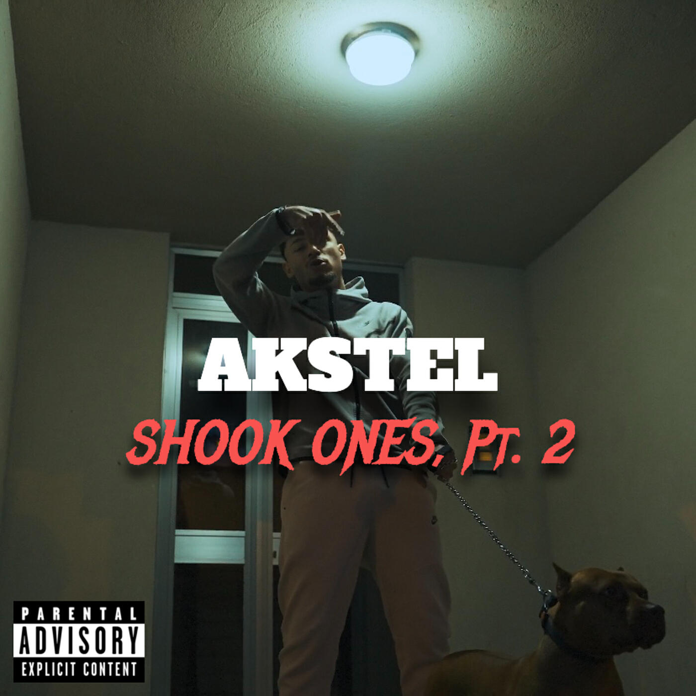 Релиз Shook Ones, Pt. 2