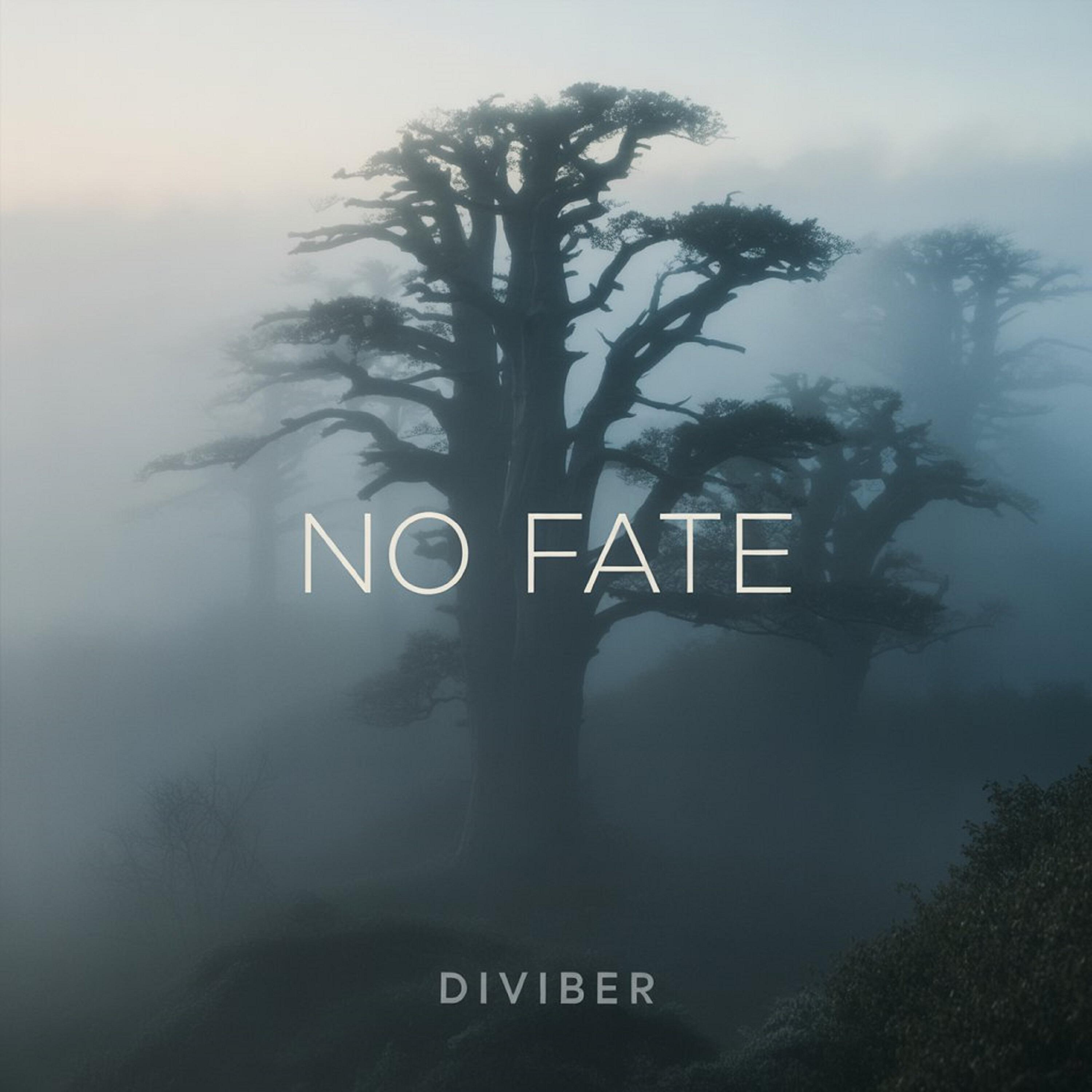 Релиз No Fate