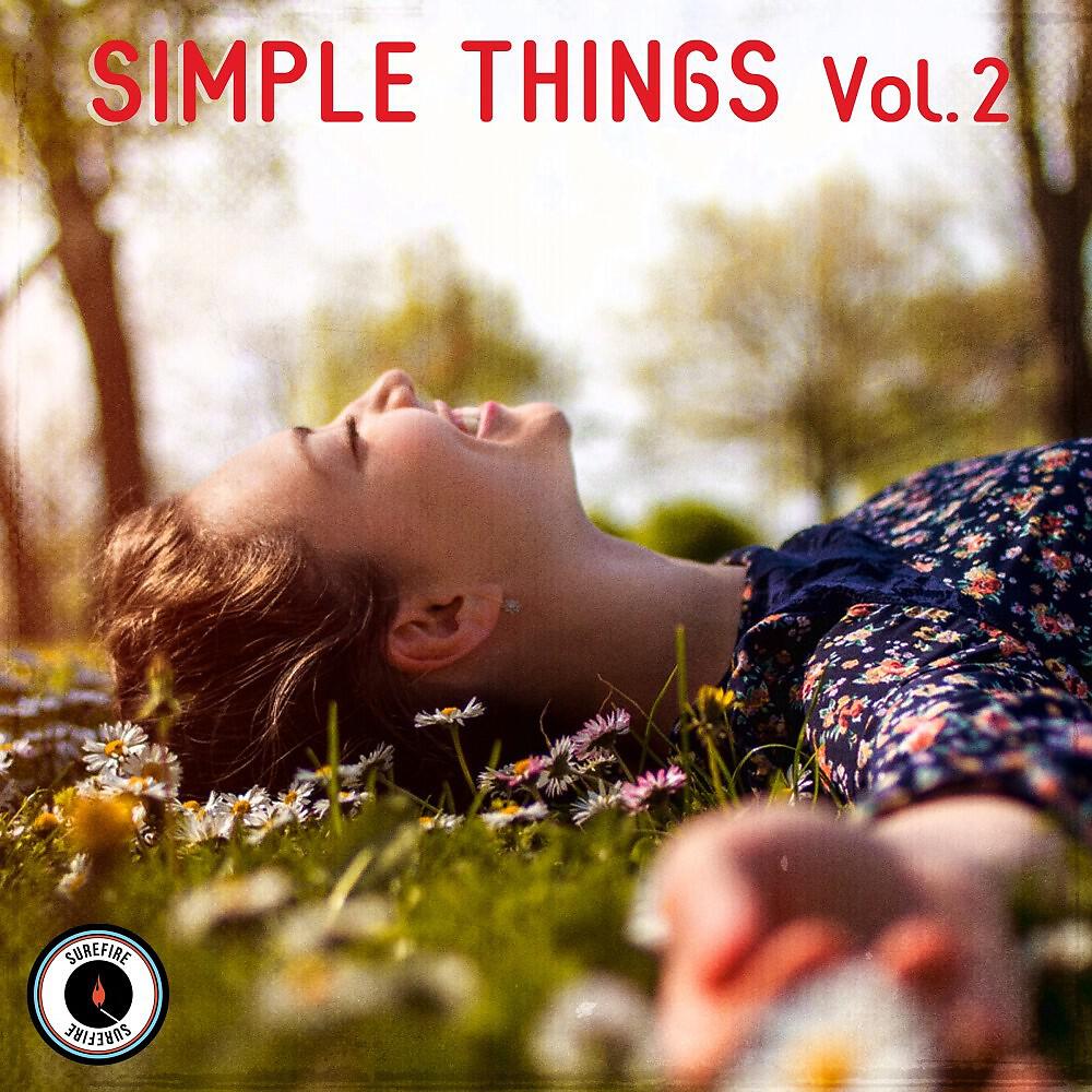 Релиз Simple Things, Vol. 2