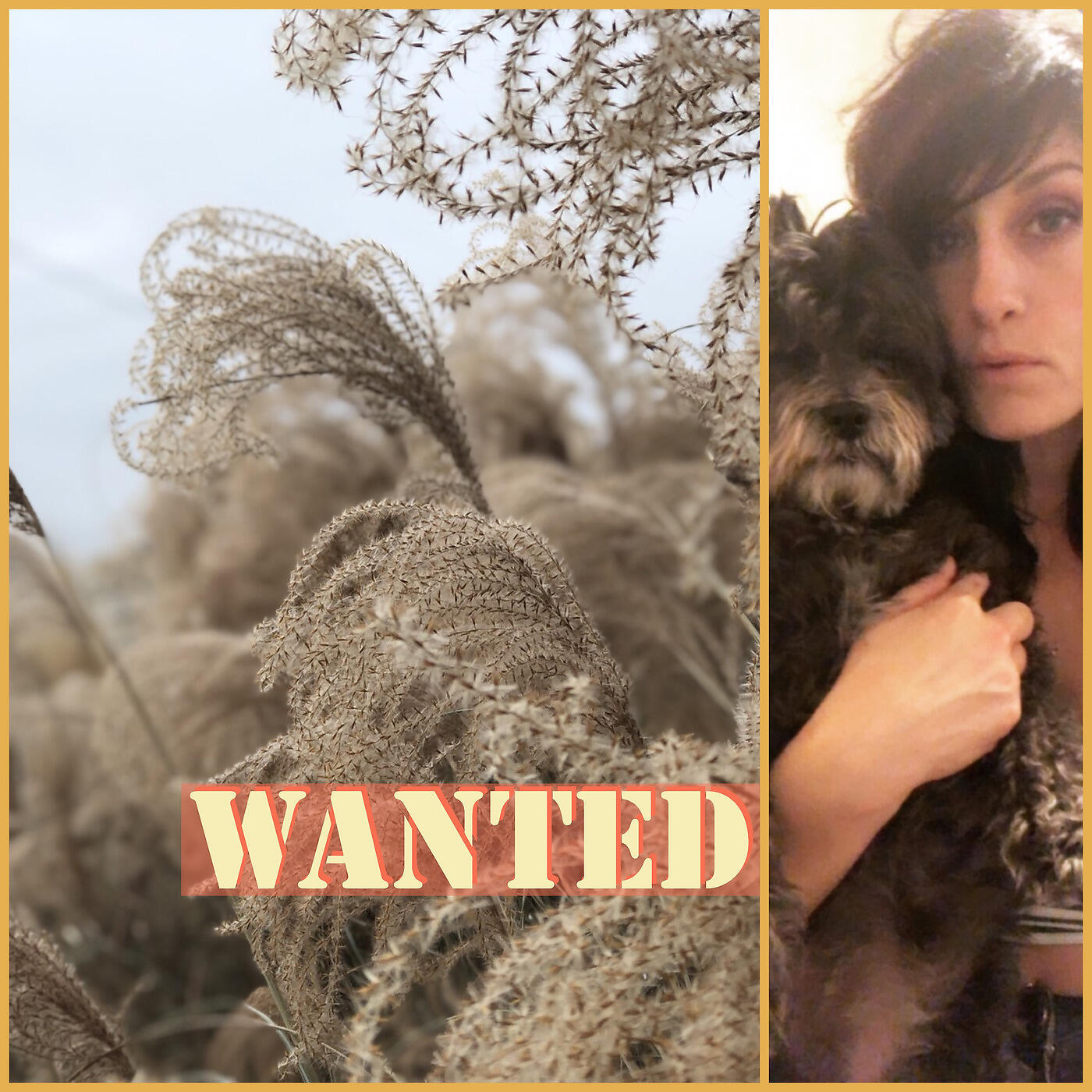 Релиз Wanted