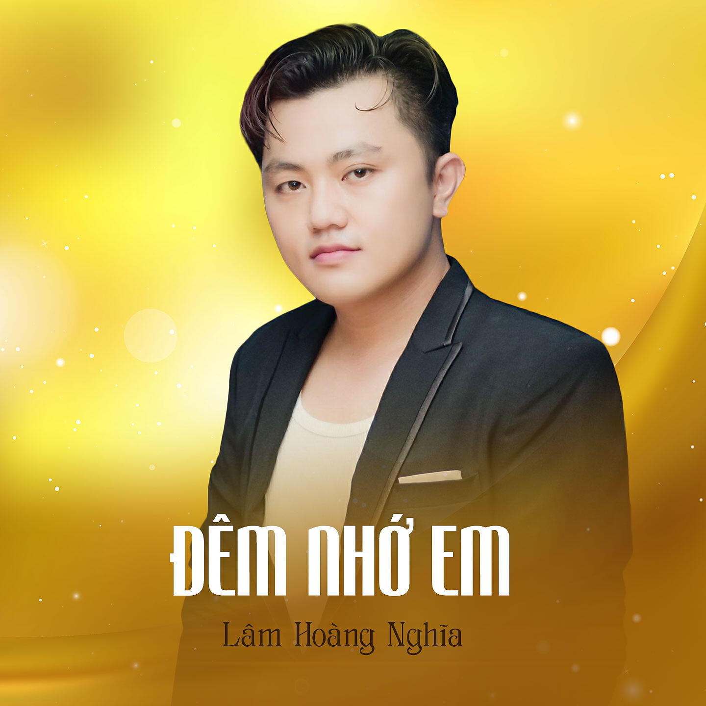 Релиз Đêm Nhớ Em