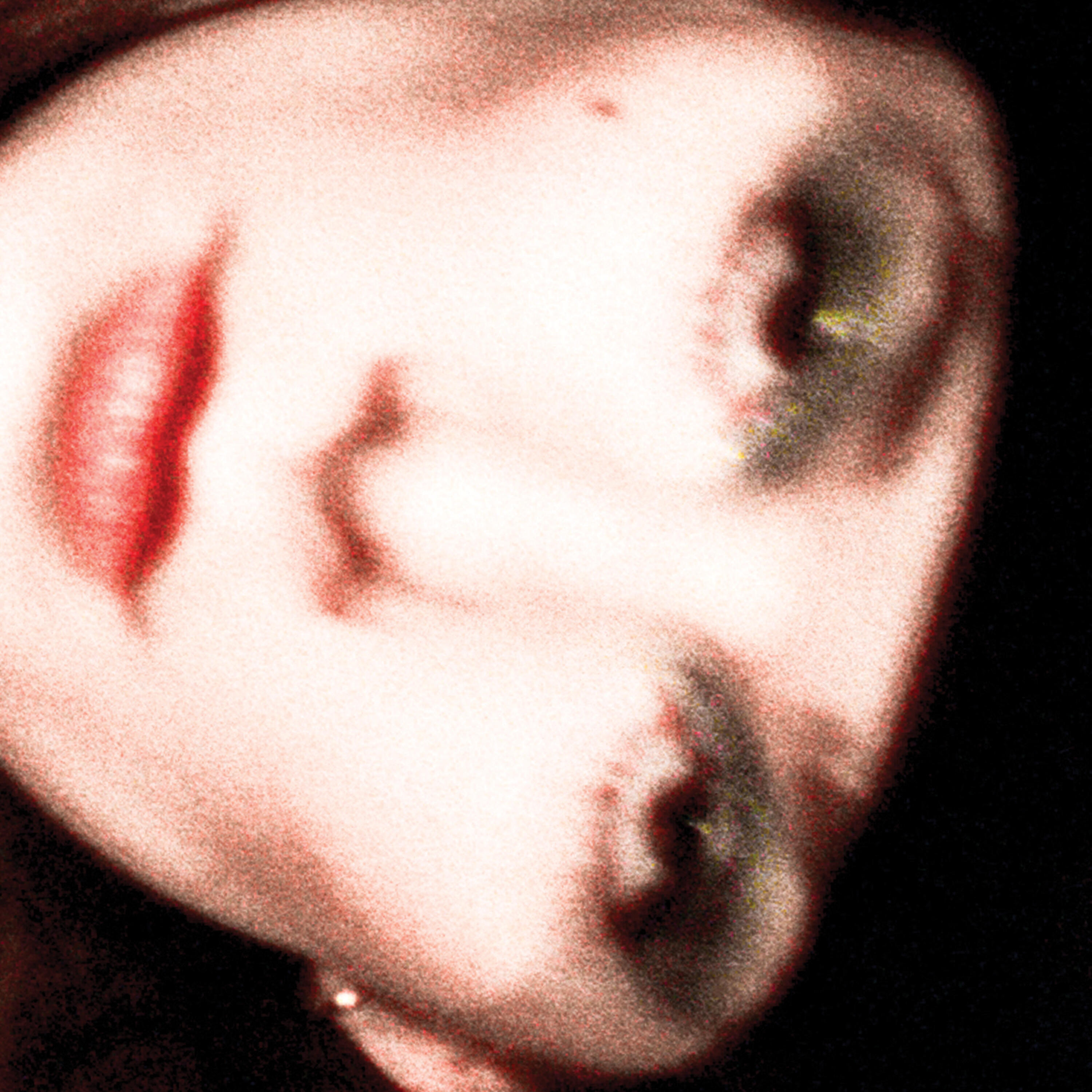 Релиз good listener