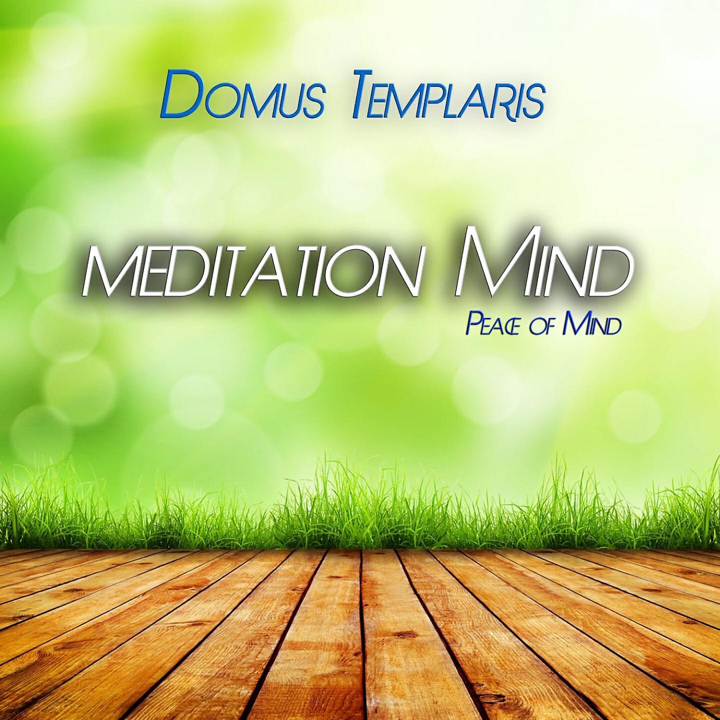 Релиз Meditation Mind - Peace of Mind