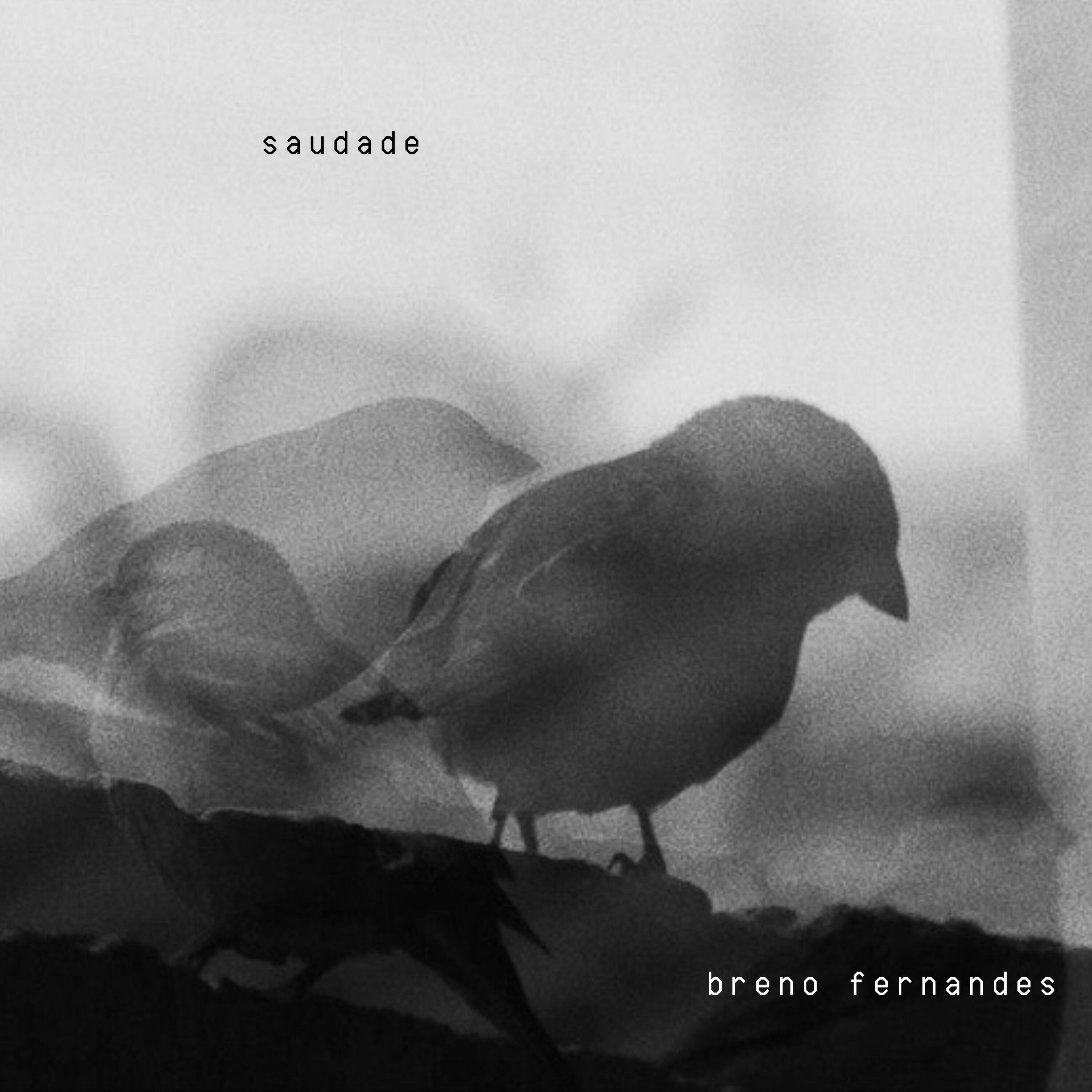 Релиз Saudade