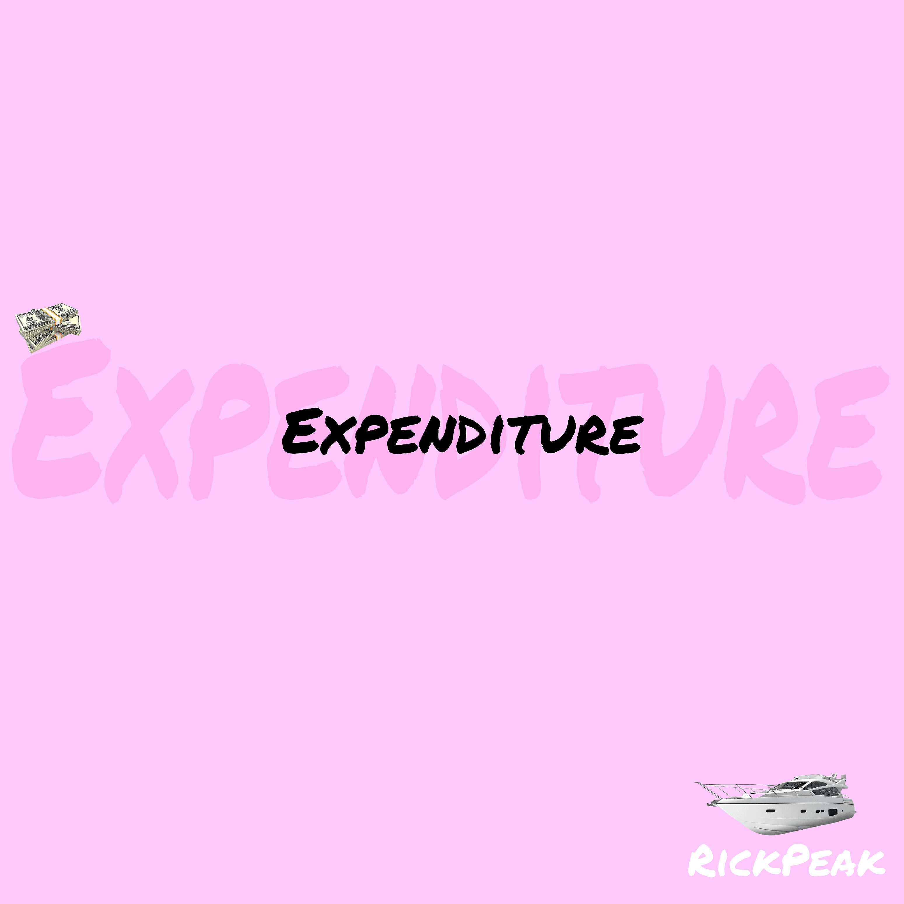 Релиз Expenditure