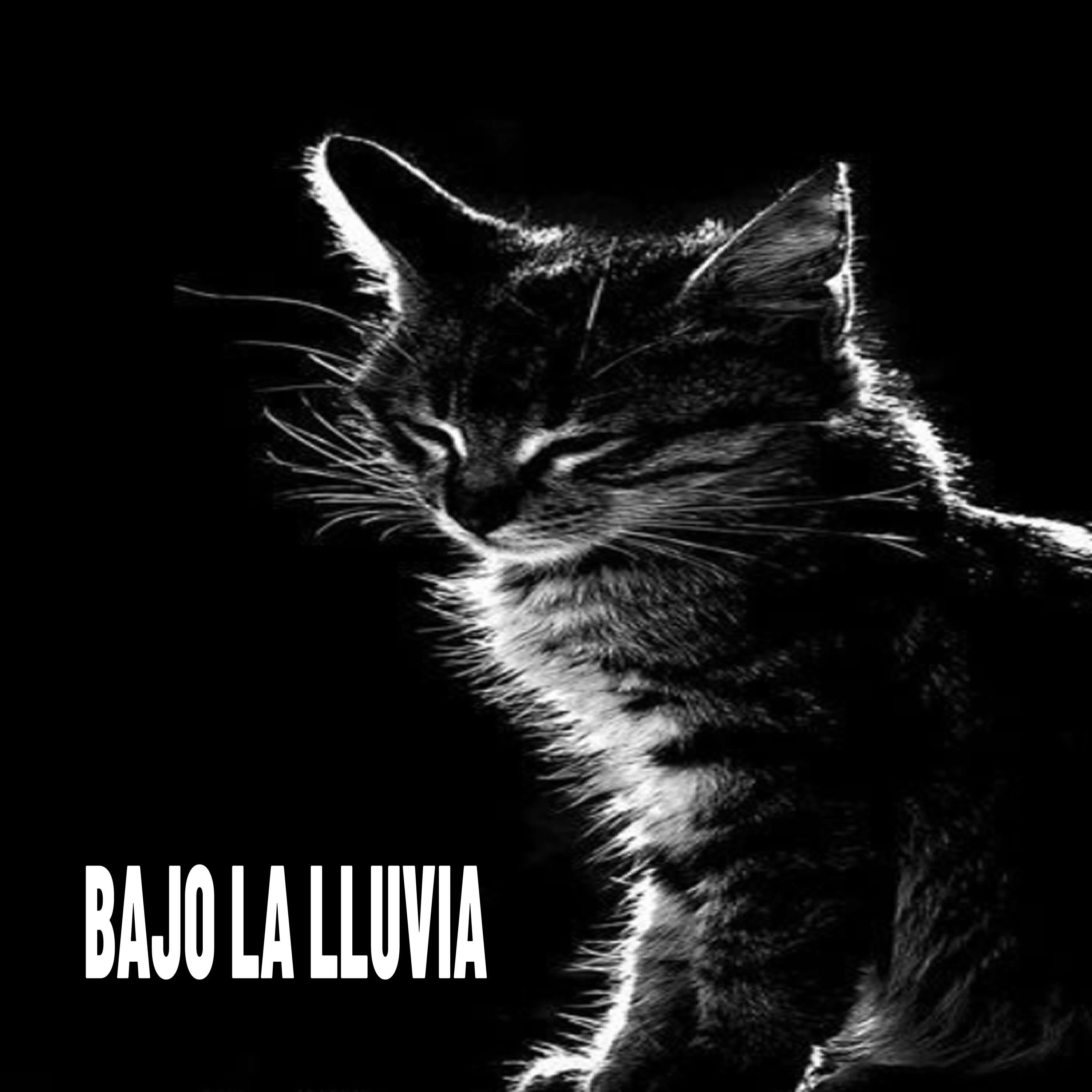 Релиз bajo la lluvia